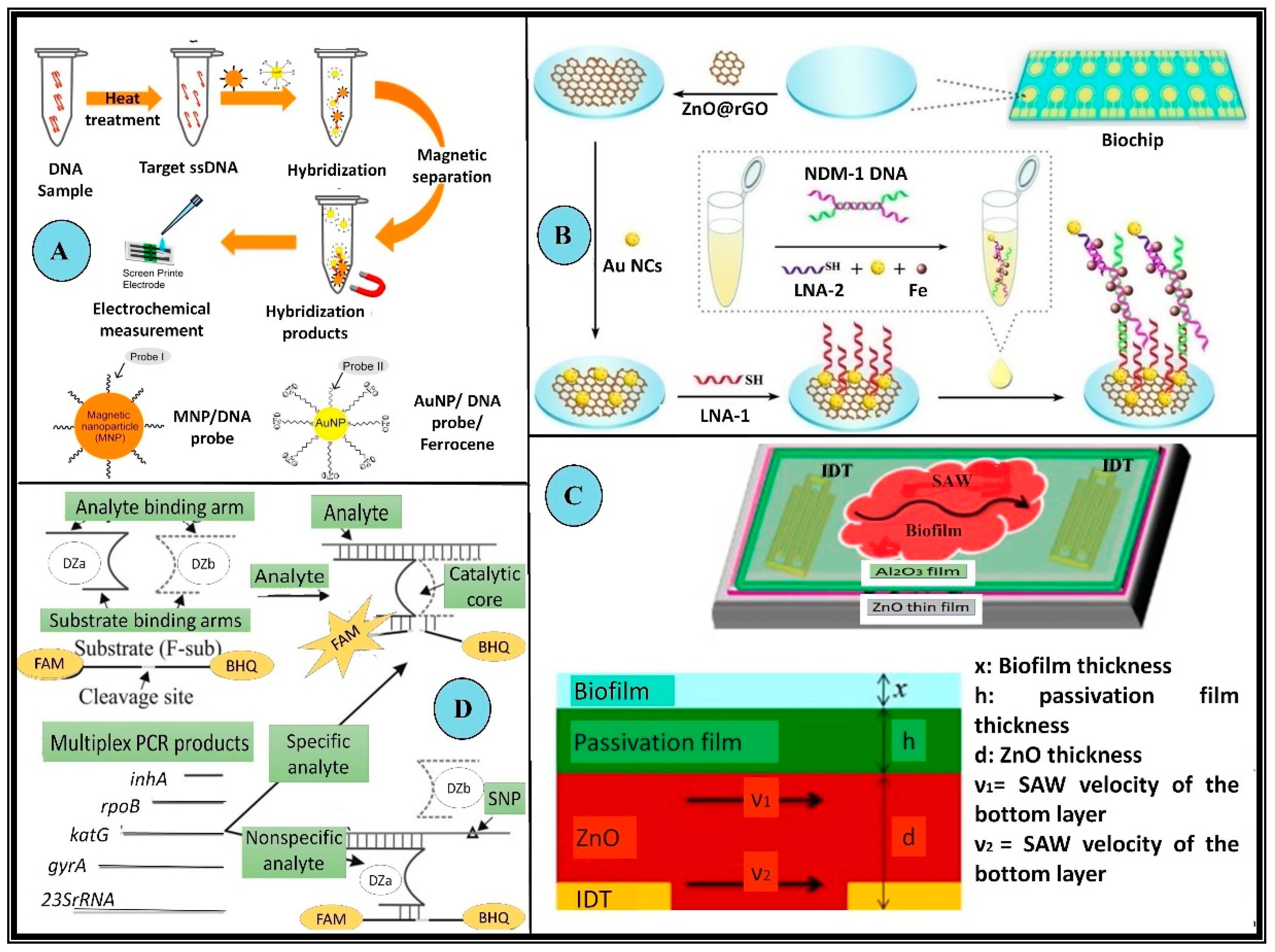 Biosensors 13 00235 g004