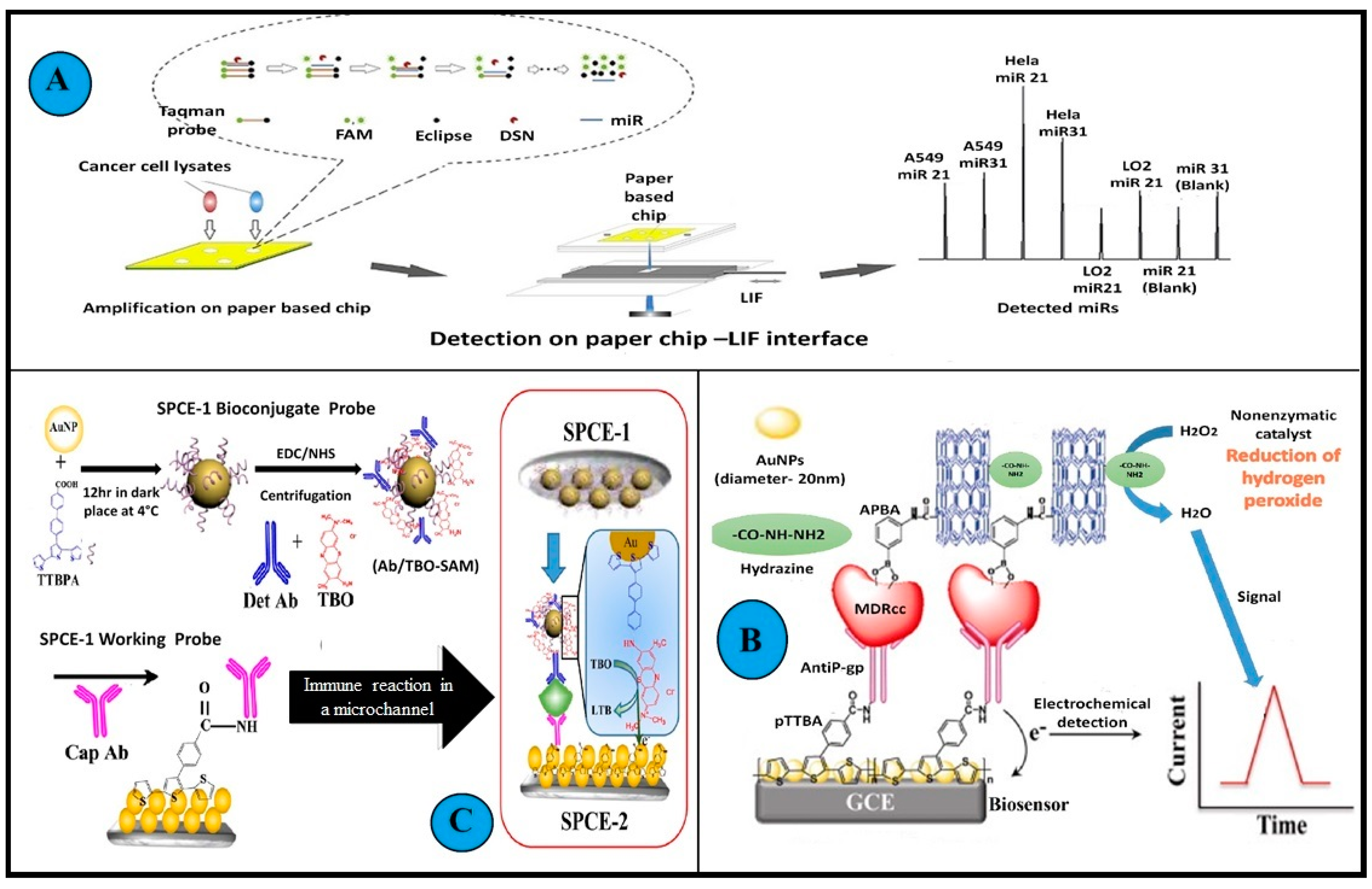 Biosensors 13 00235 g006