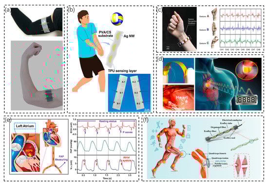 Biosensors 13 00236 g002 550