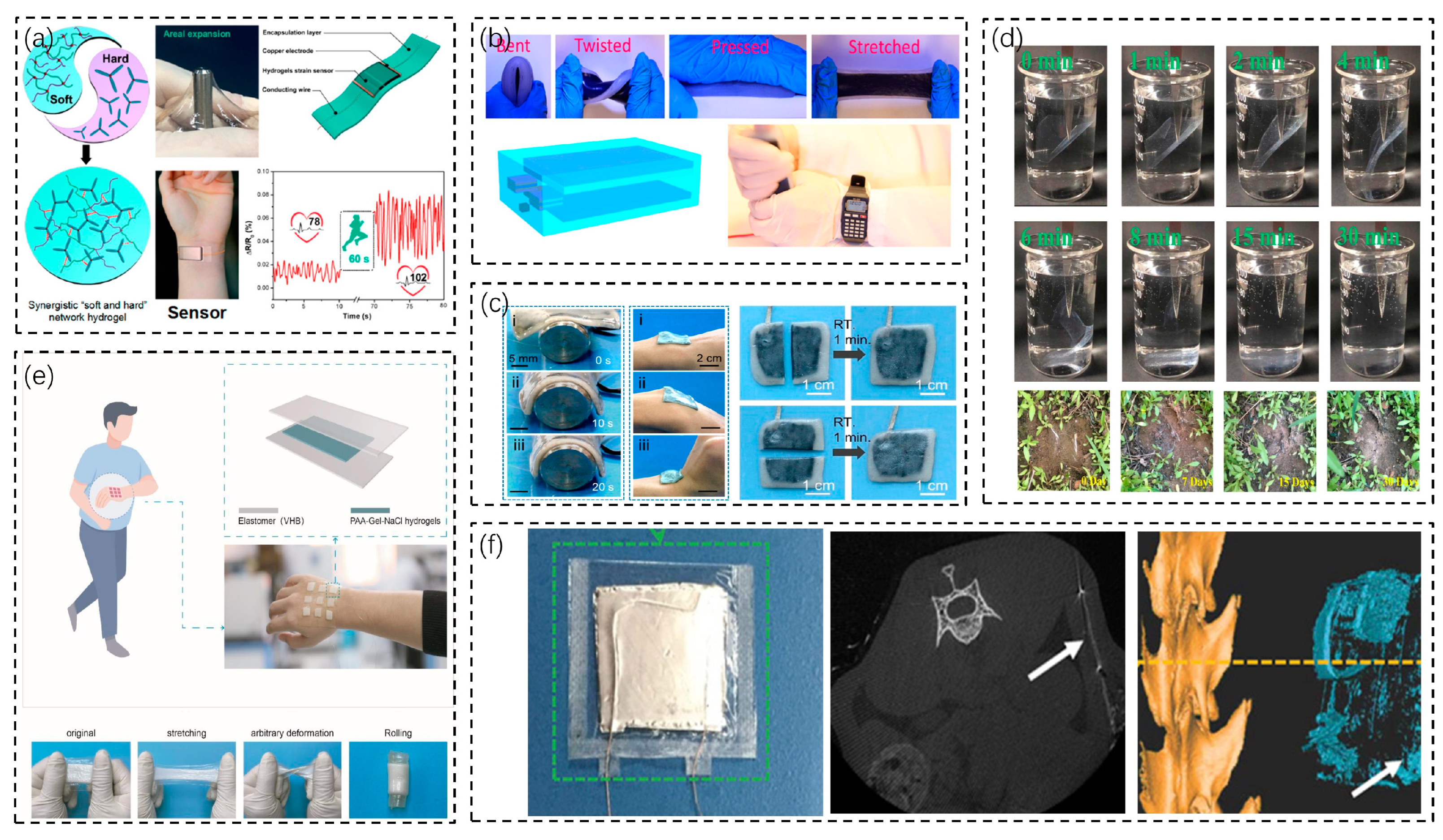 Biosensors 13 00236 g003