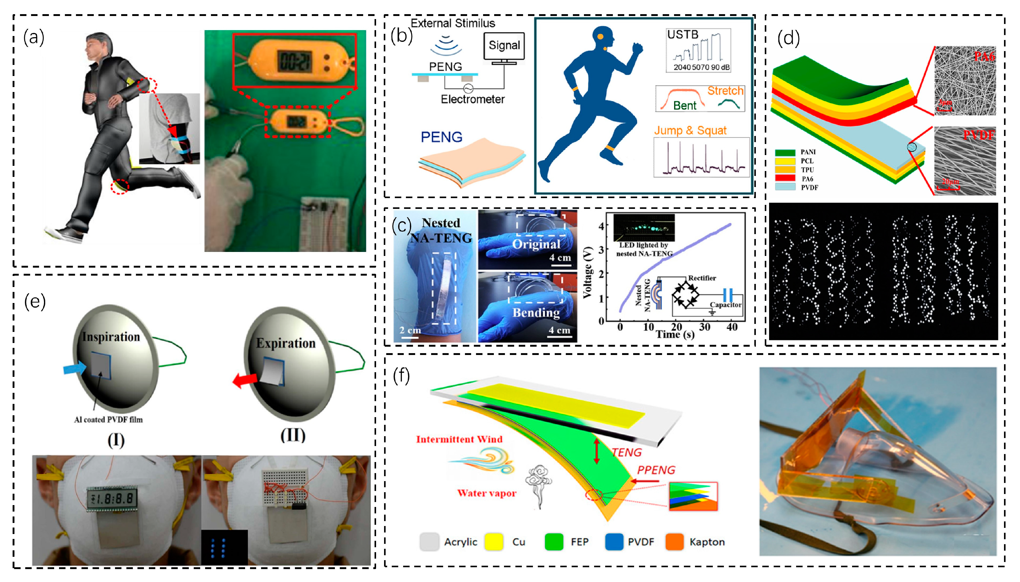 Biosensors 13 00236 g004