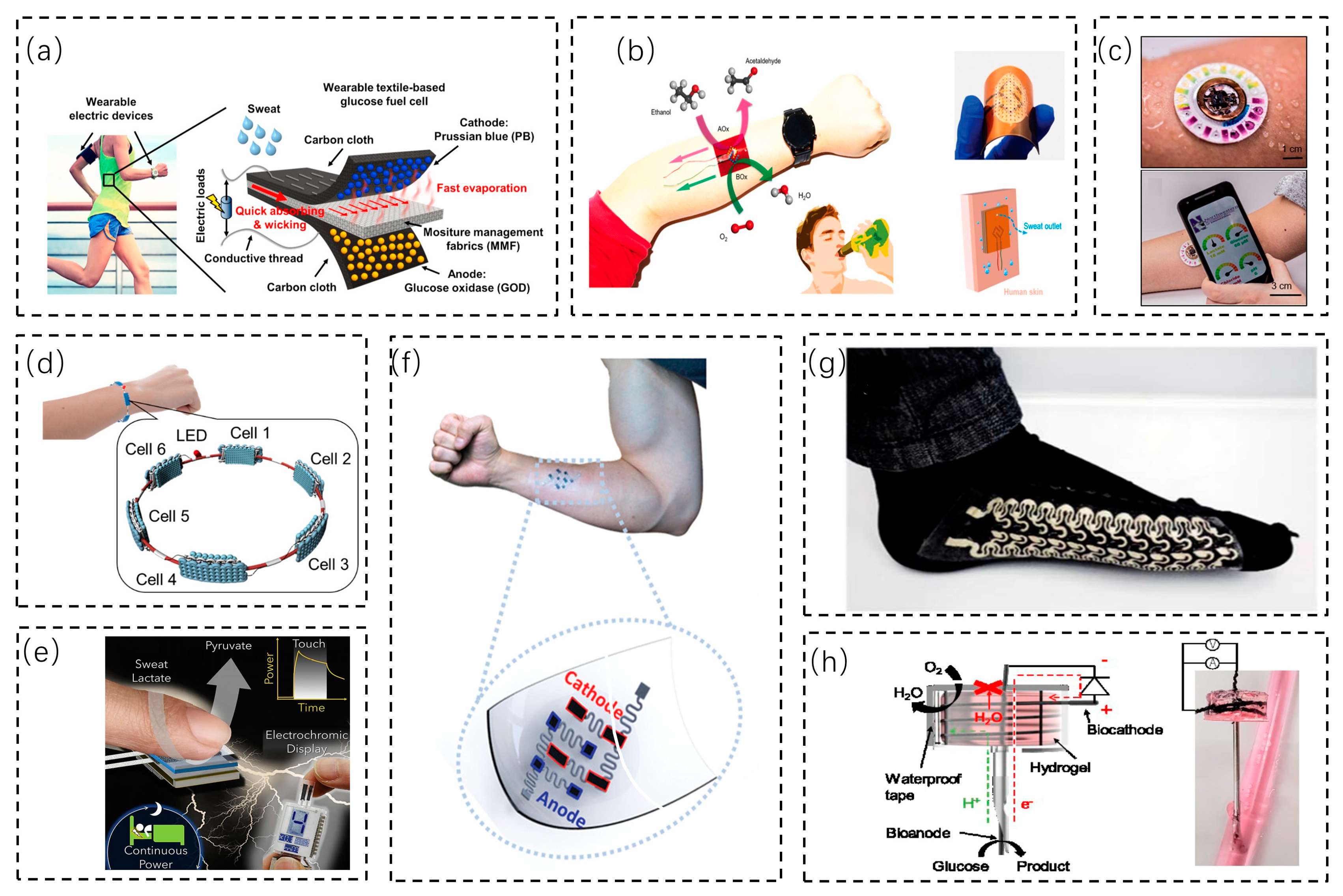 Biosensors 13 00236 g005