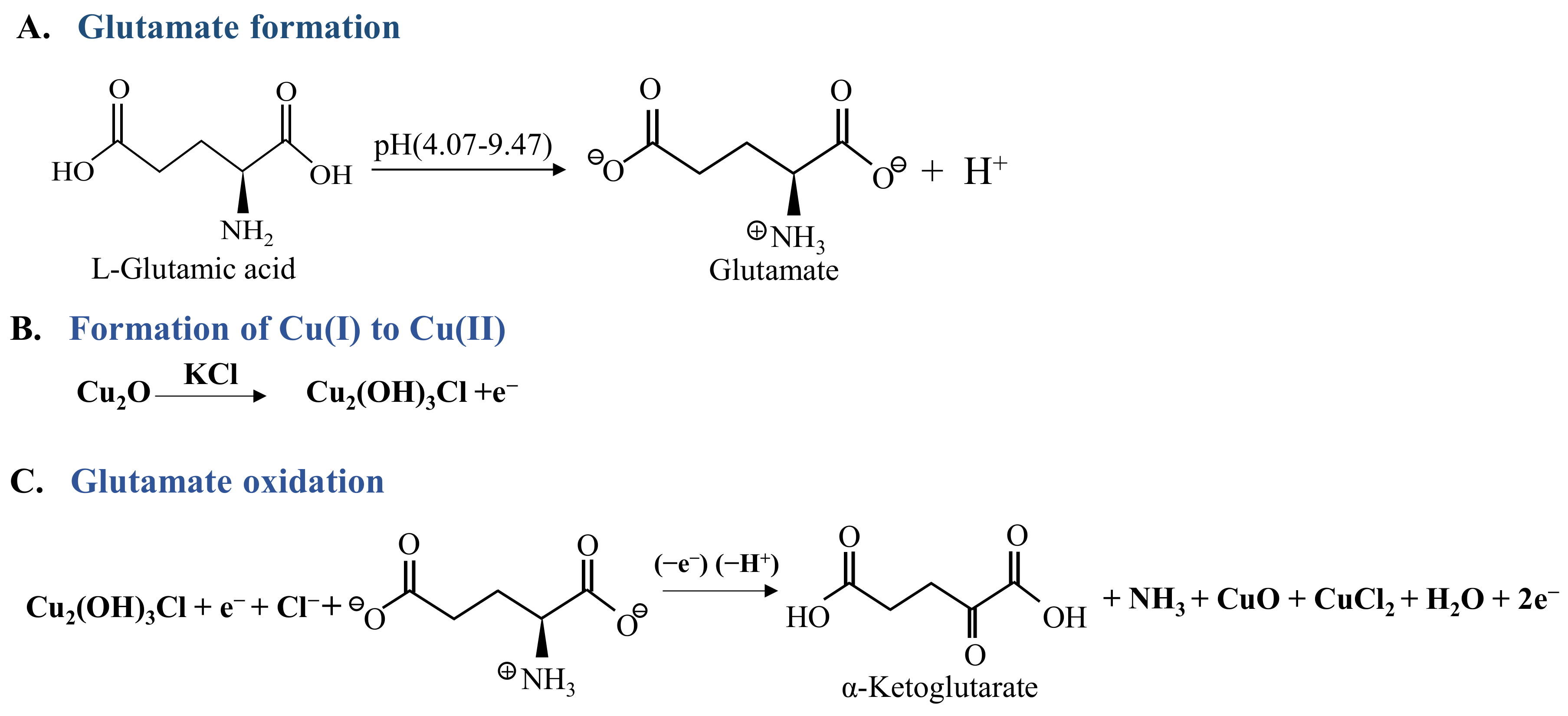 Biosensors 13 00237 sch001