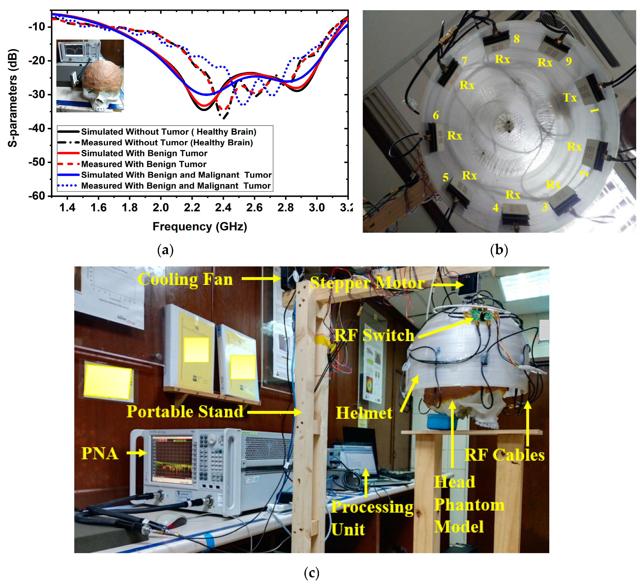 Biosensors 13 00238 g002