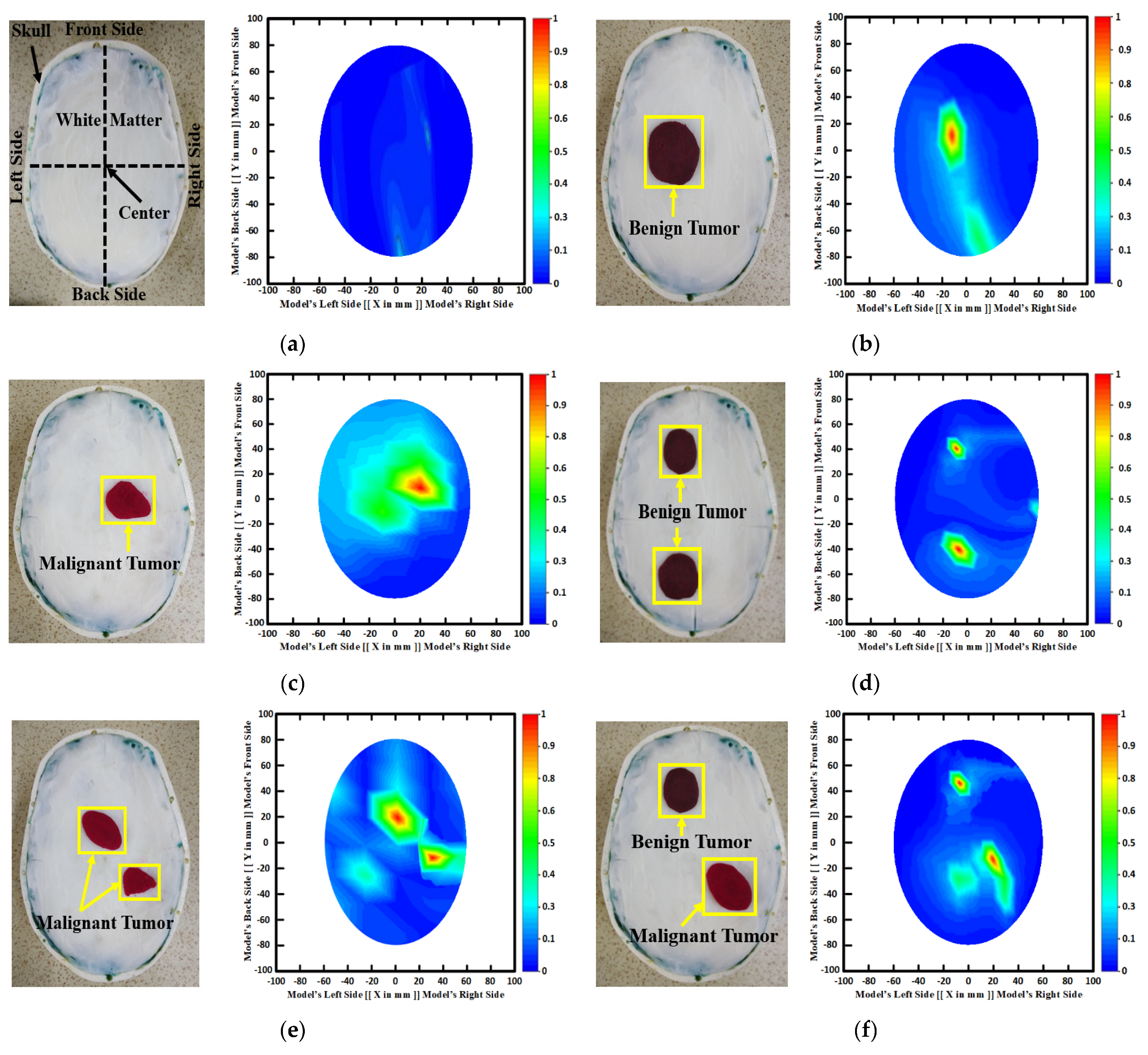 Biosensors 13 00238 g003