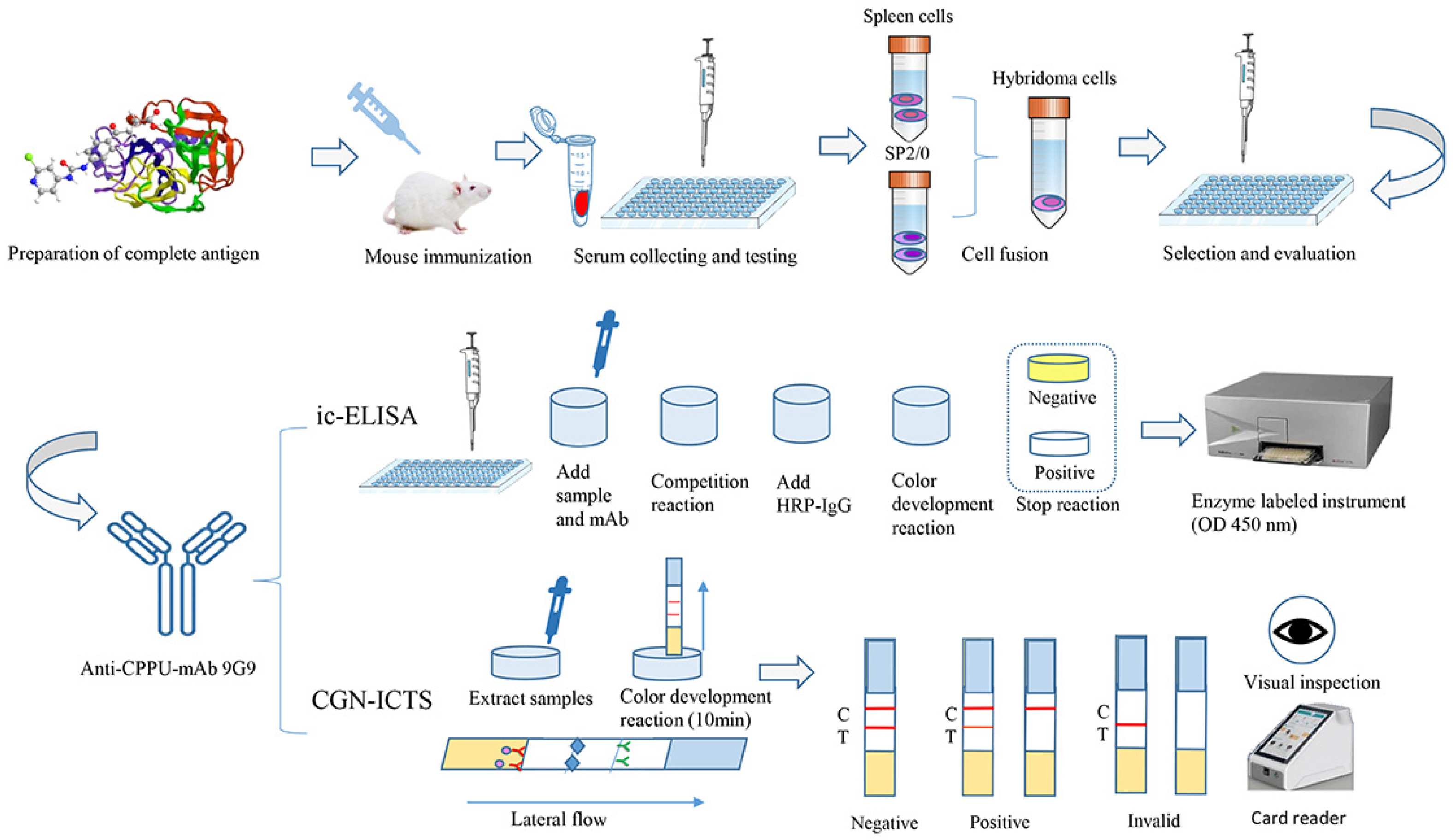 Biosensors 13 00239 g001