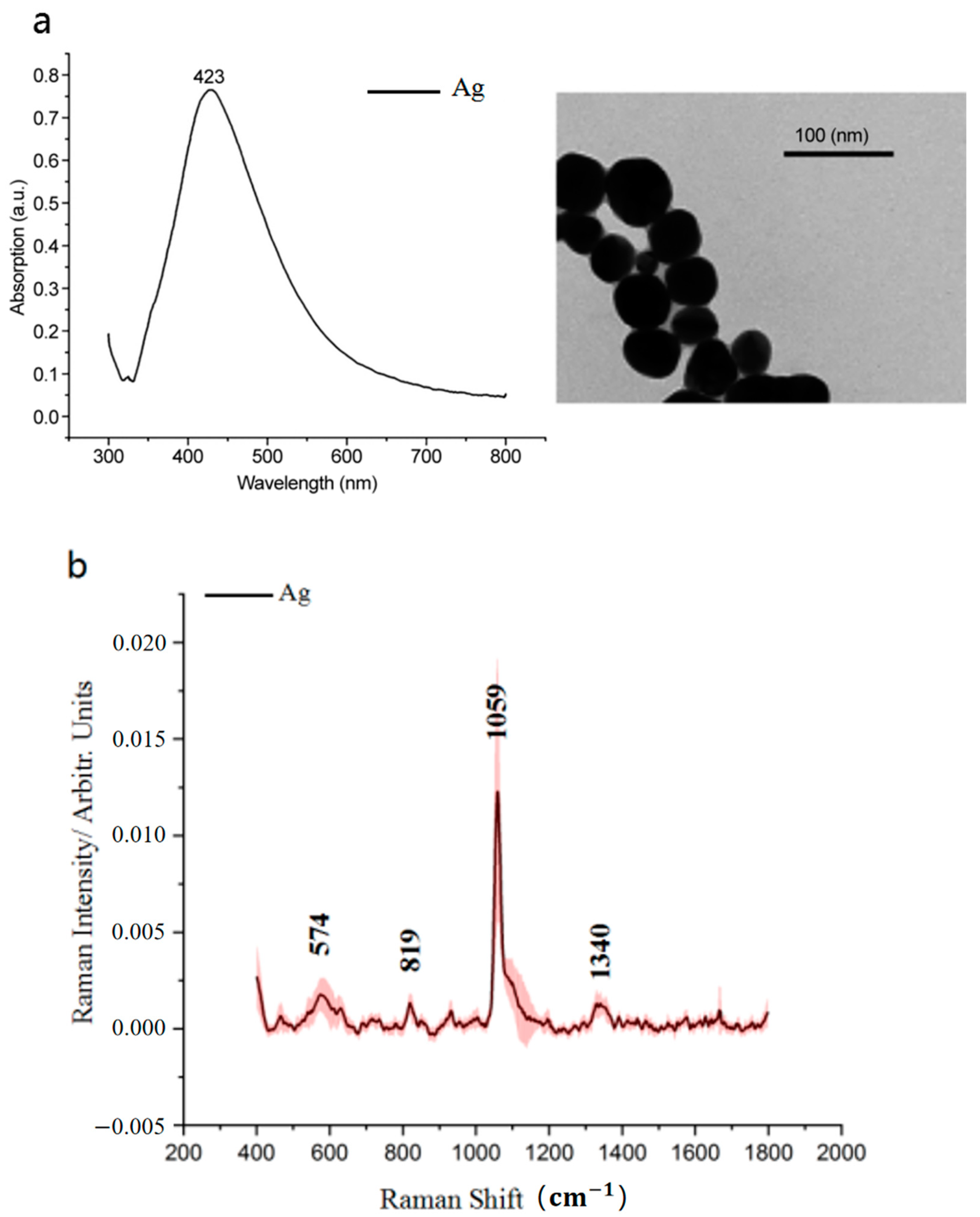 Biosensors 13 00241 g001