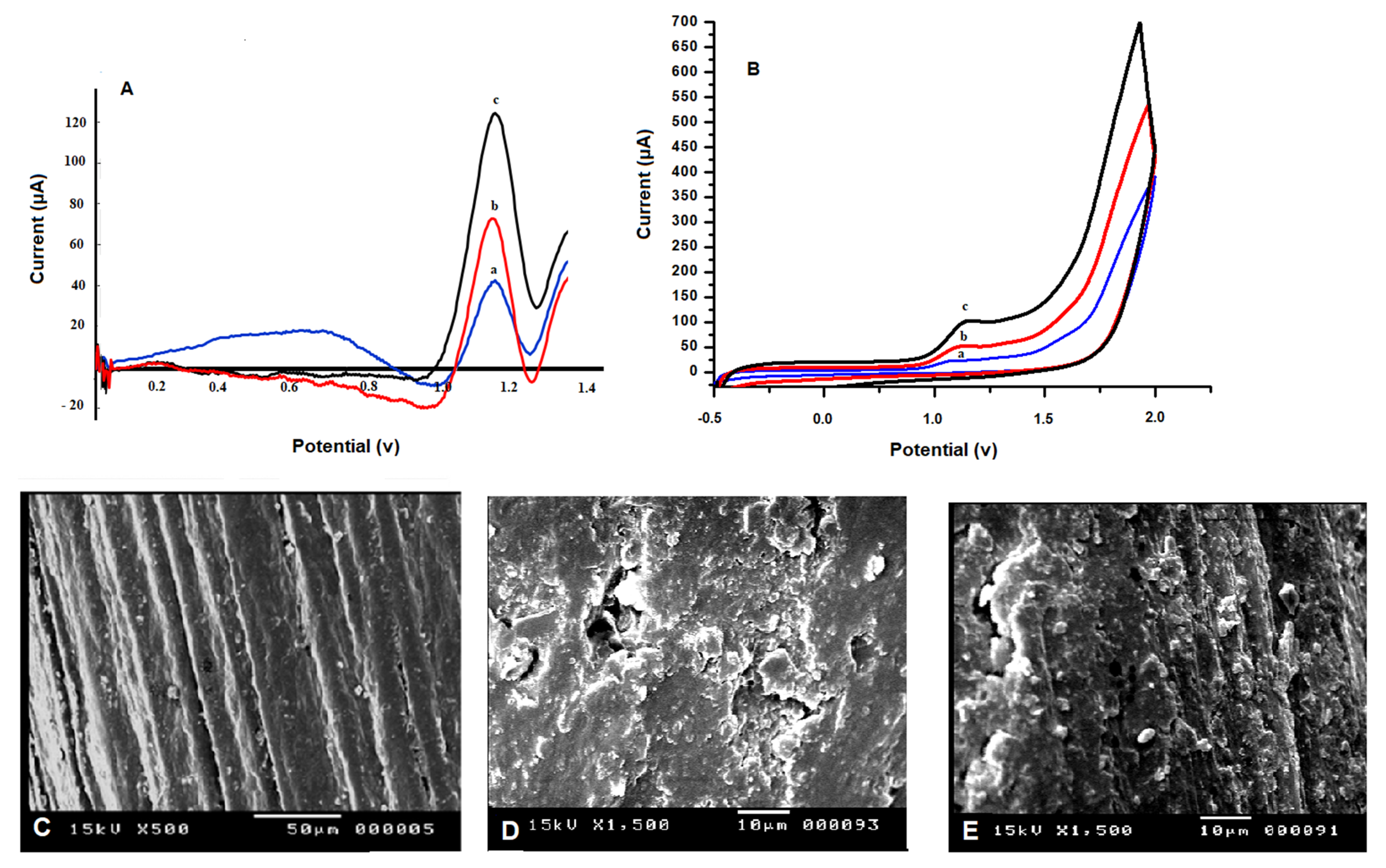 Biosensors 13 00243 g002