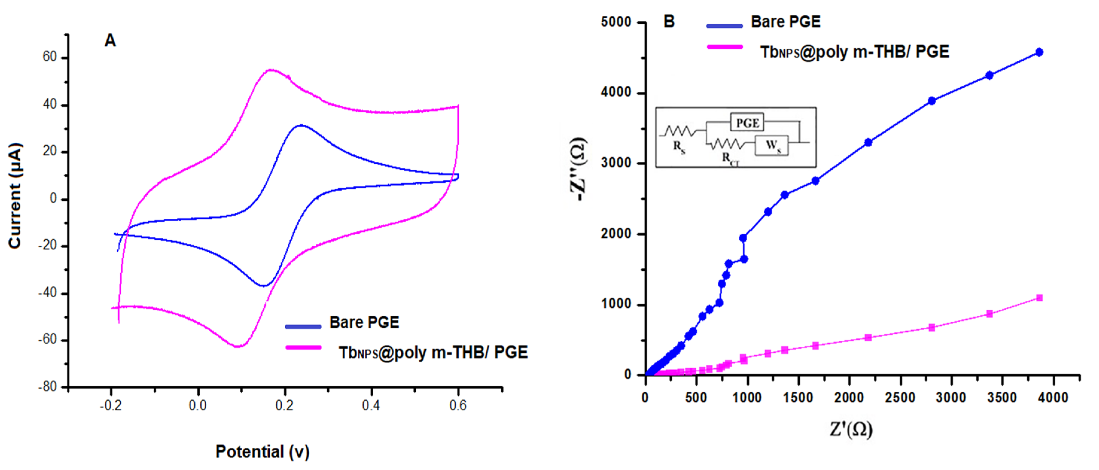 Biosensors 13 00243 g004