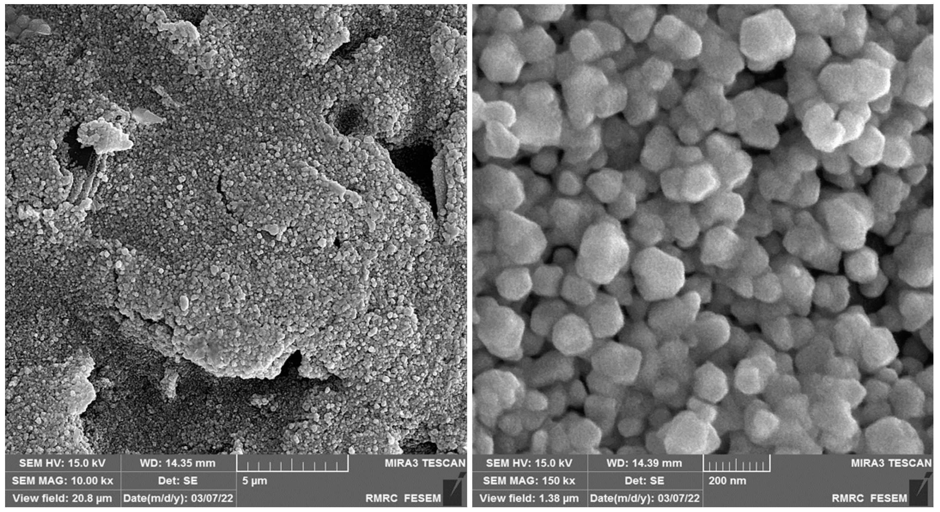 Biosensors 13 00244 g001