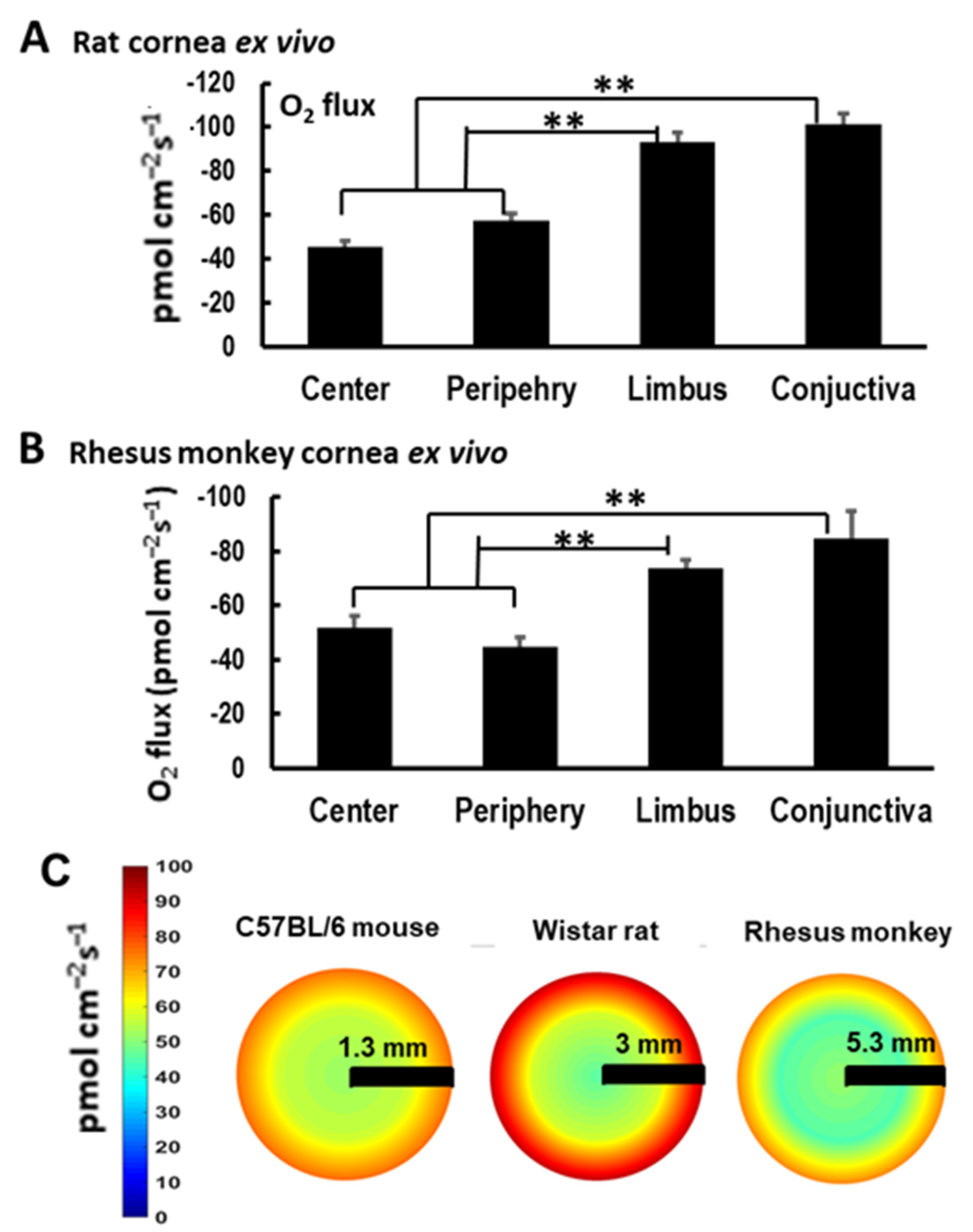 Biosensors 13 00245 g005 Biosensors 13 00245 g005