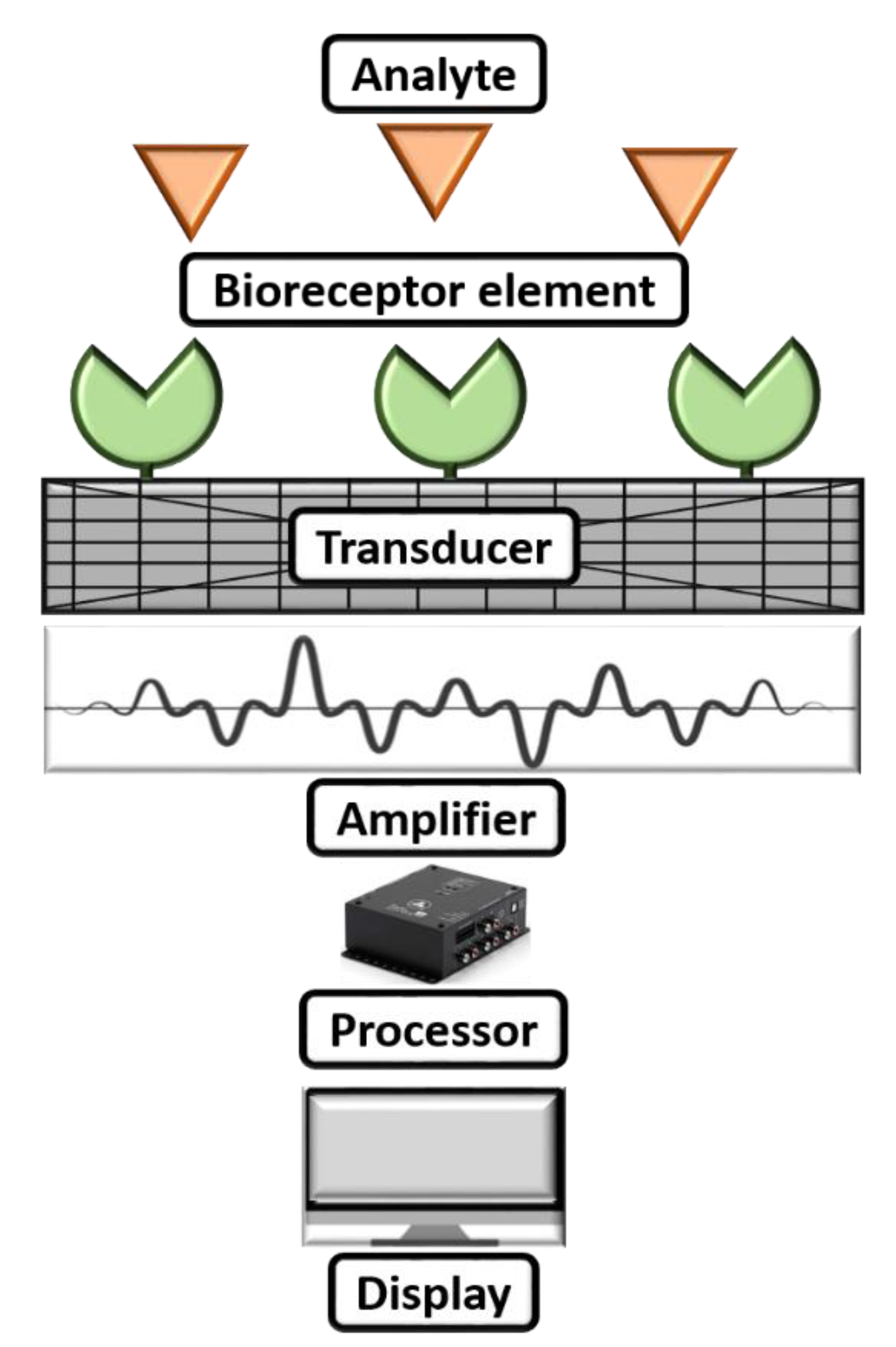 Biosensors 13 00246 g003
