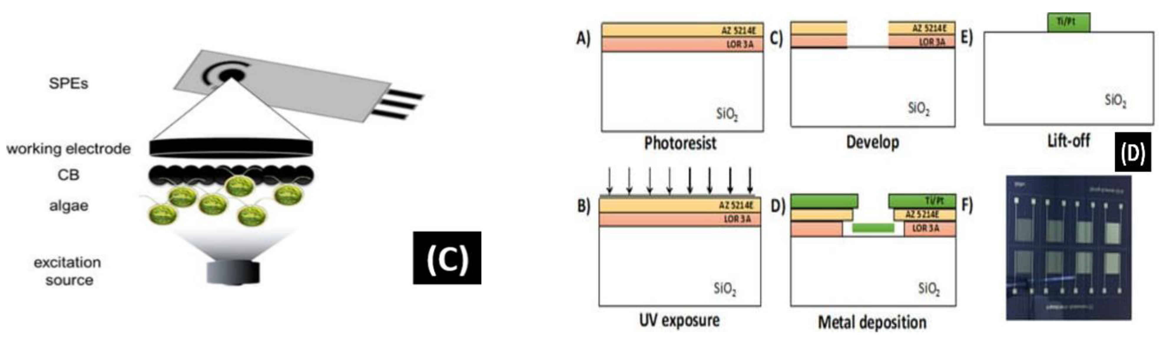 Biosensors 13 00246 g007b