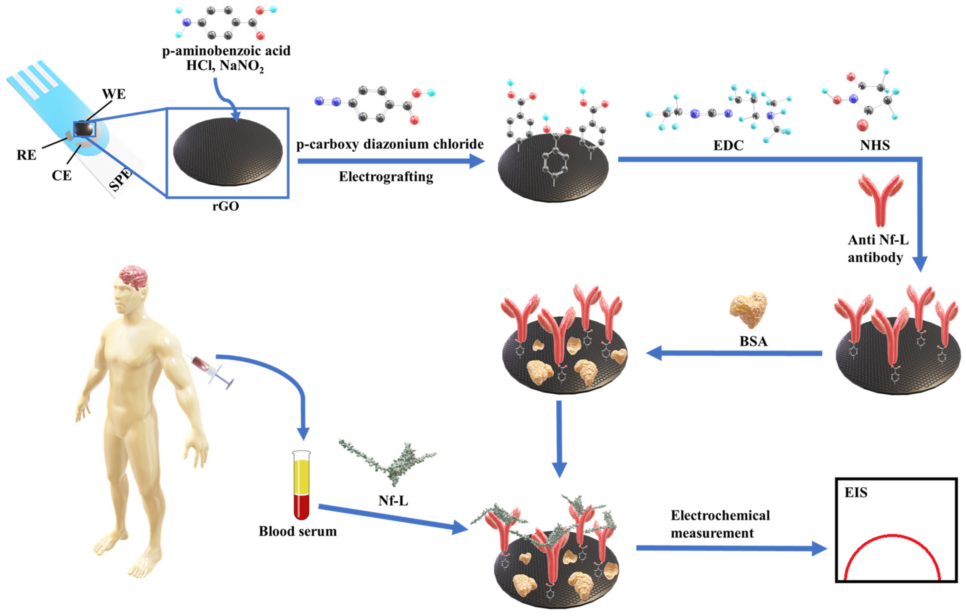 Biosensors 13 00247 sch001 Biosensors 13 00247 sch001