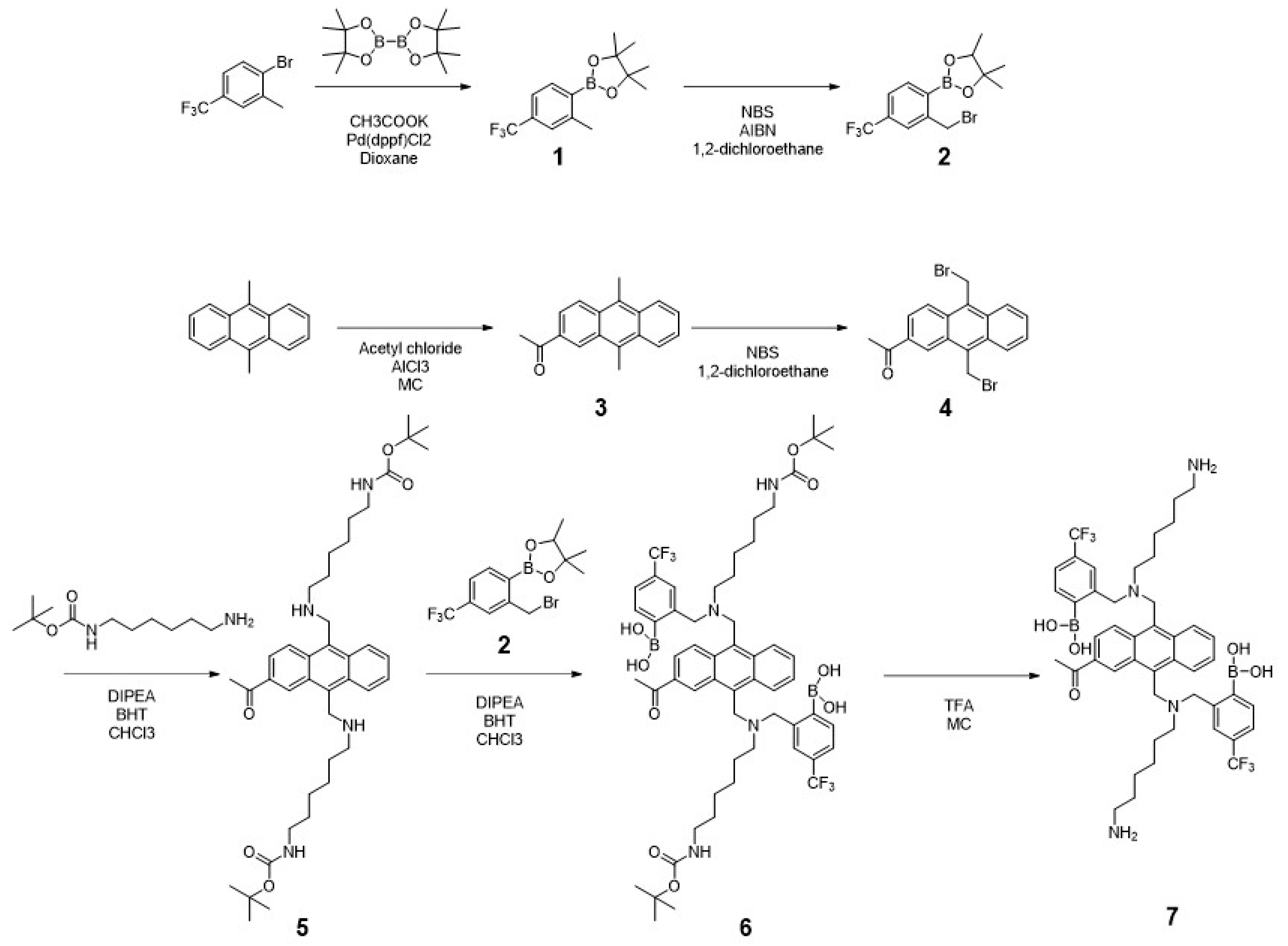 Biosensors 13 00248 sch001