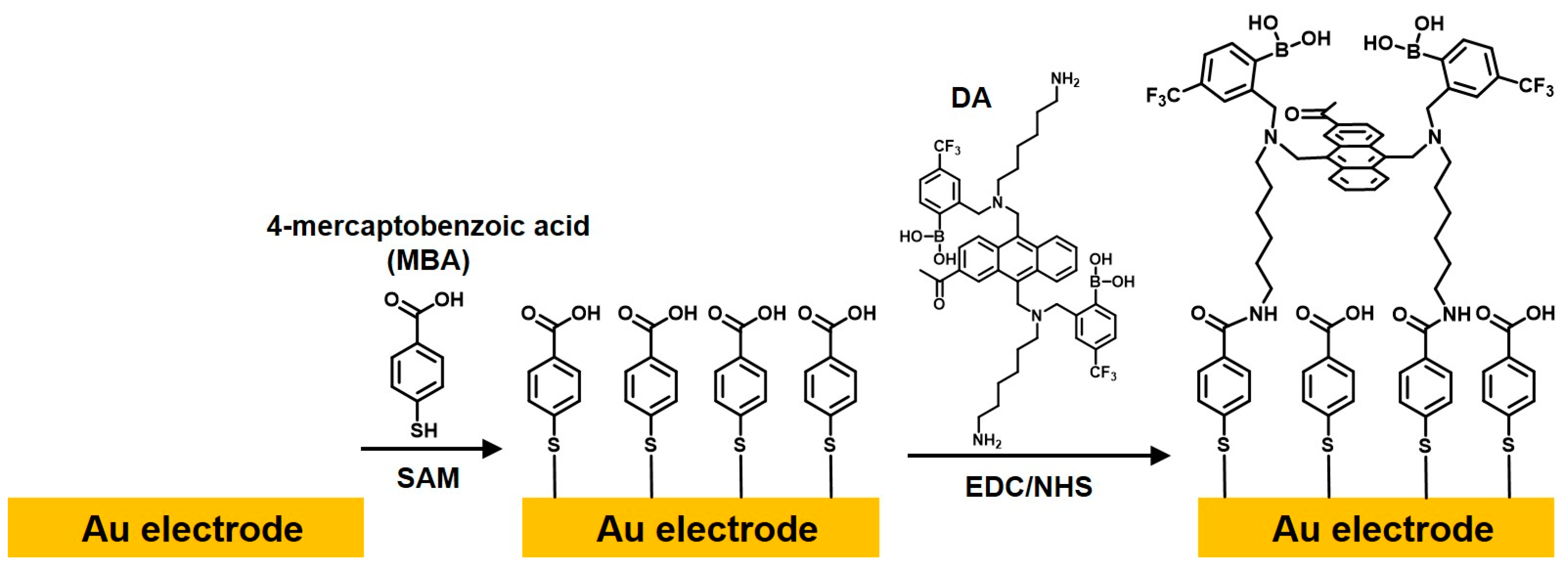 Biosensors 13 00248 sch002