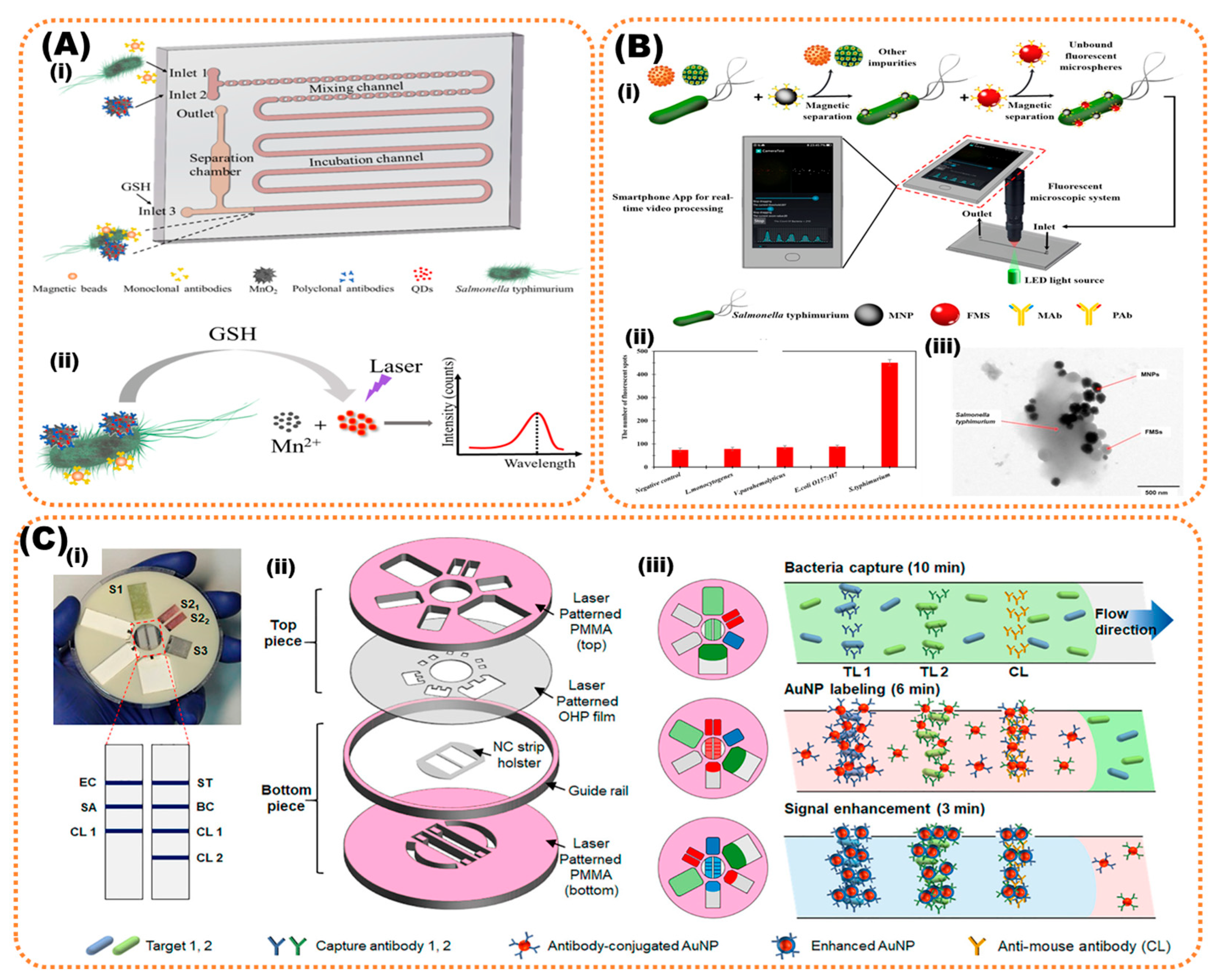 Biosensors 13 00249 g003