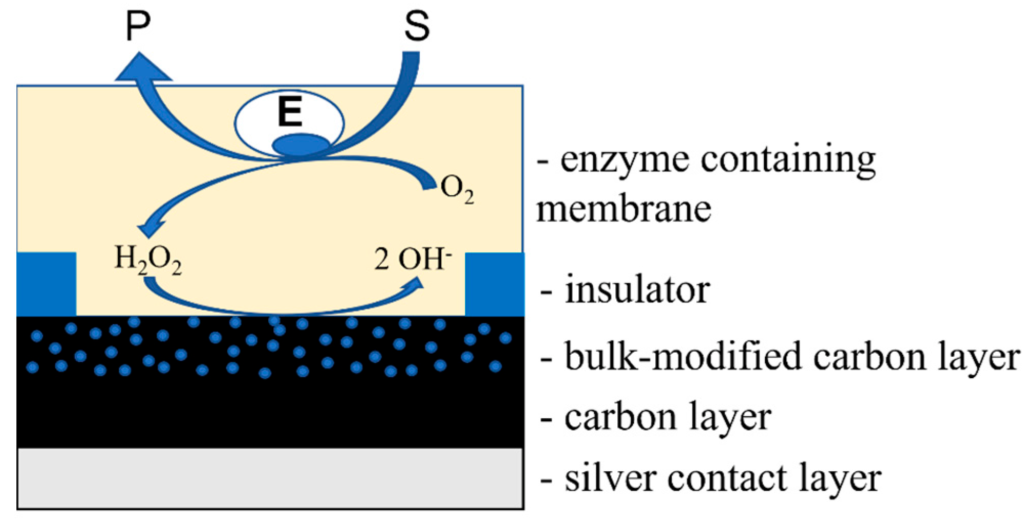 Biosensors 13 00250 g005