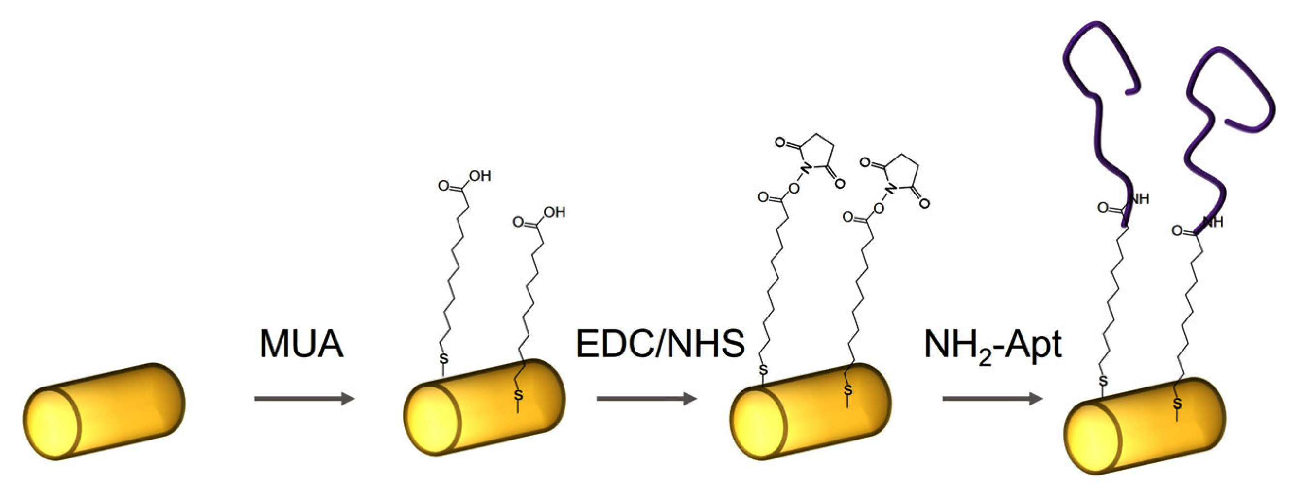 Biosensors 13 00251 g001