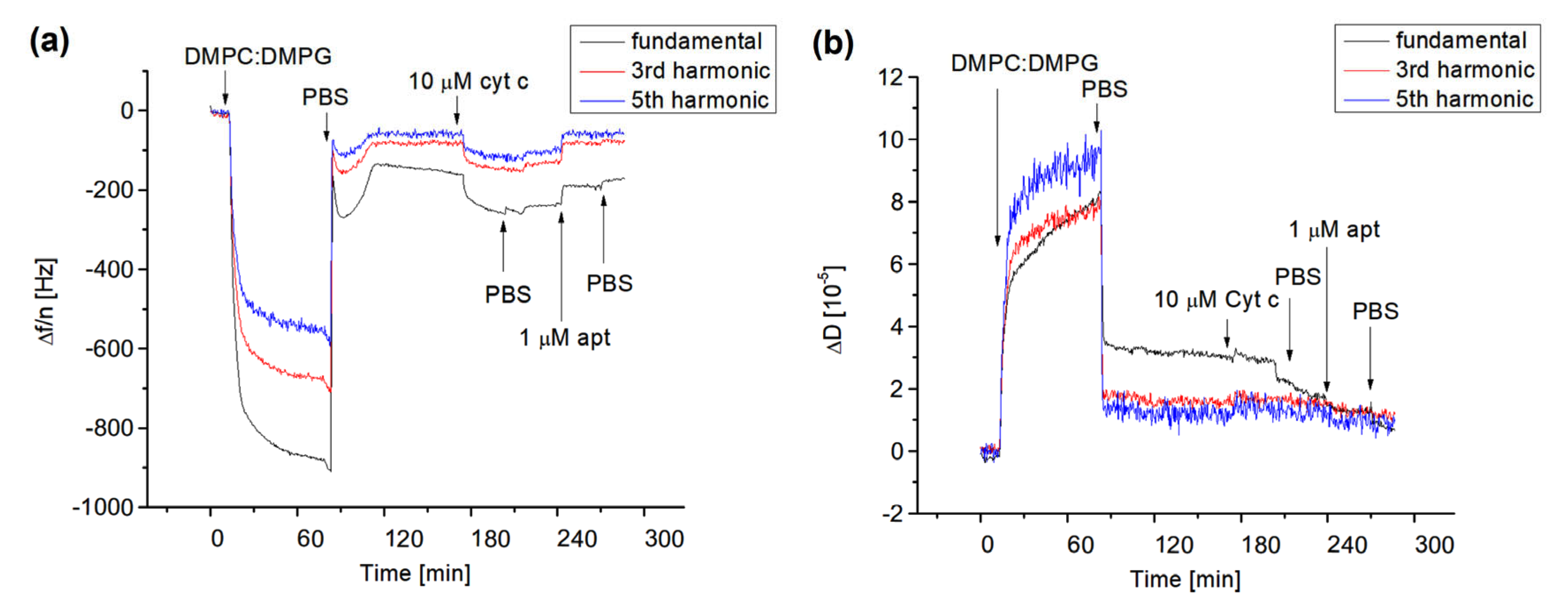 Biosensors 13 00251 g004