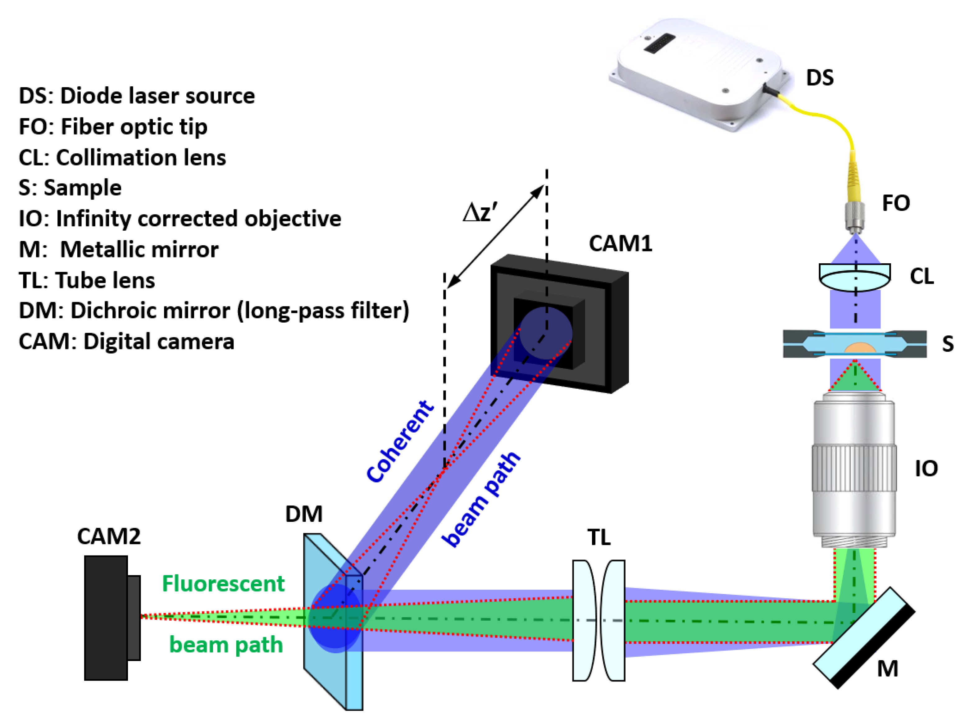Biosensors 13 00253 g001