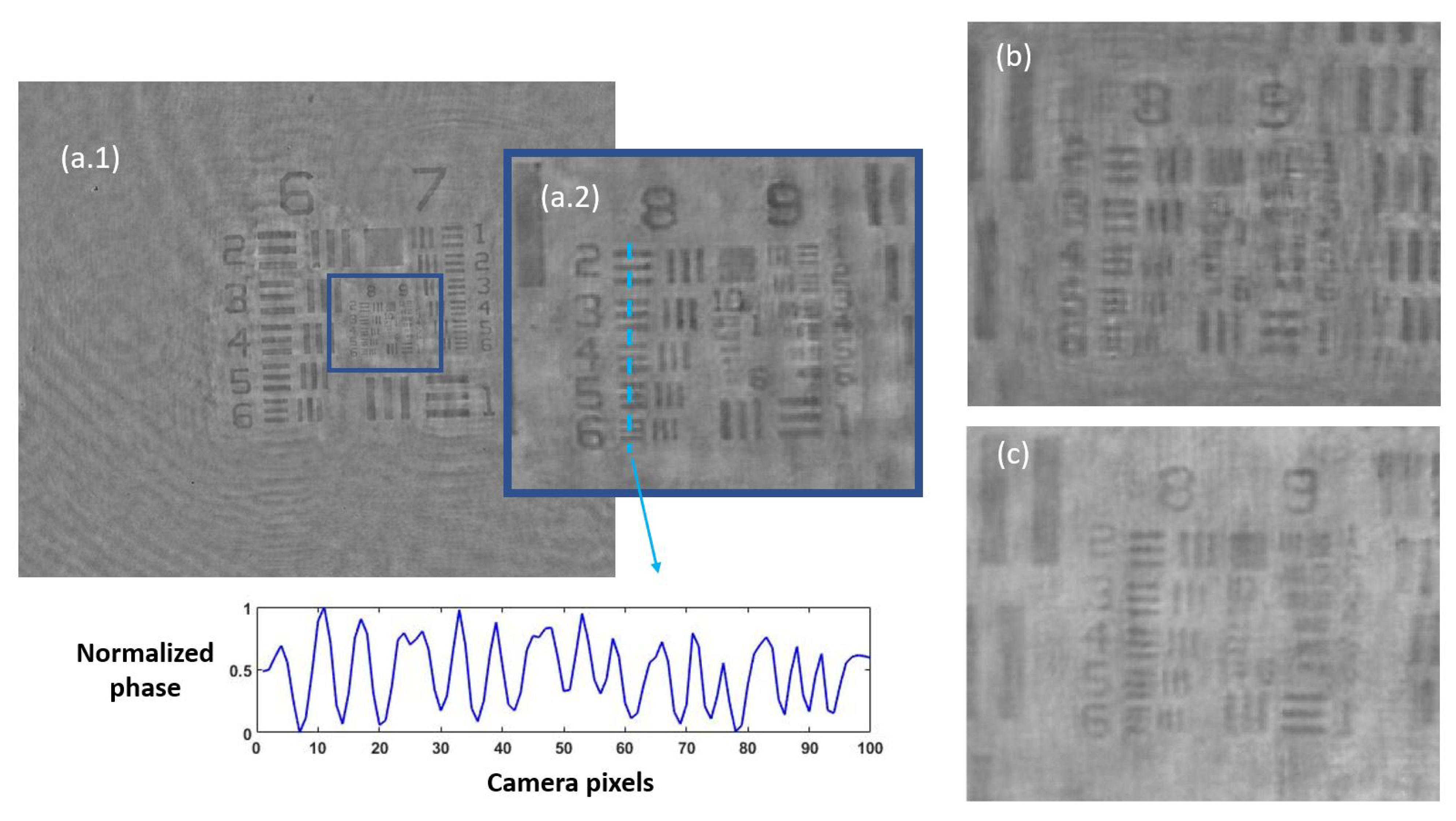 Biosensors 13 00253 g002