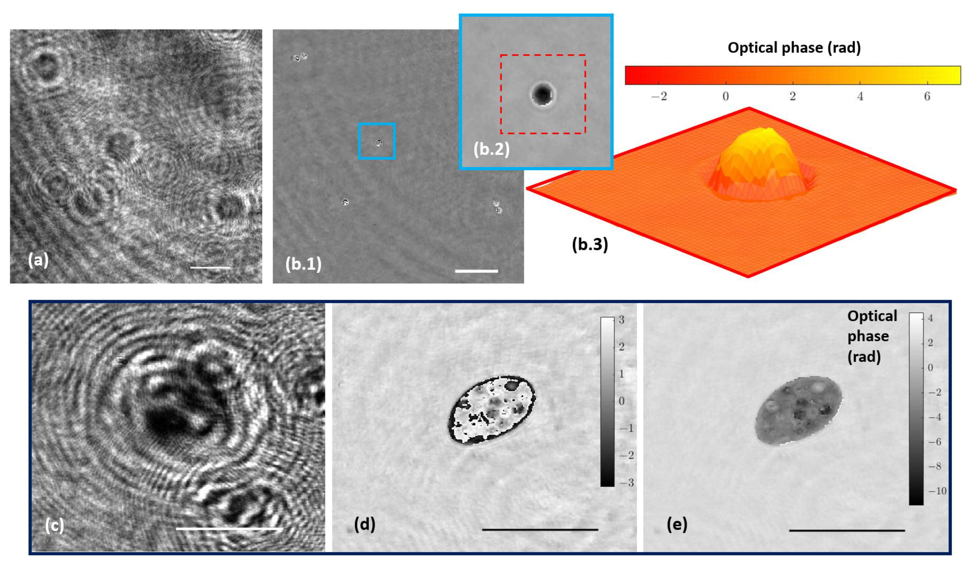 Biosensors 13 00253 g005