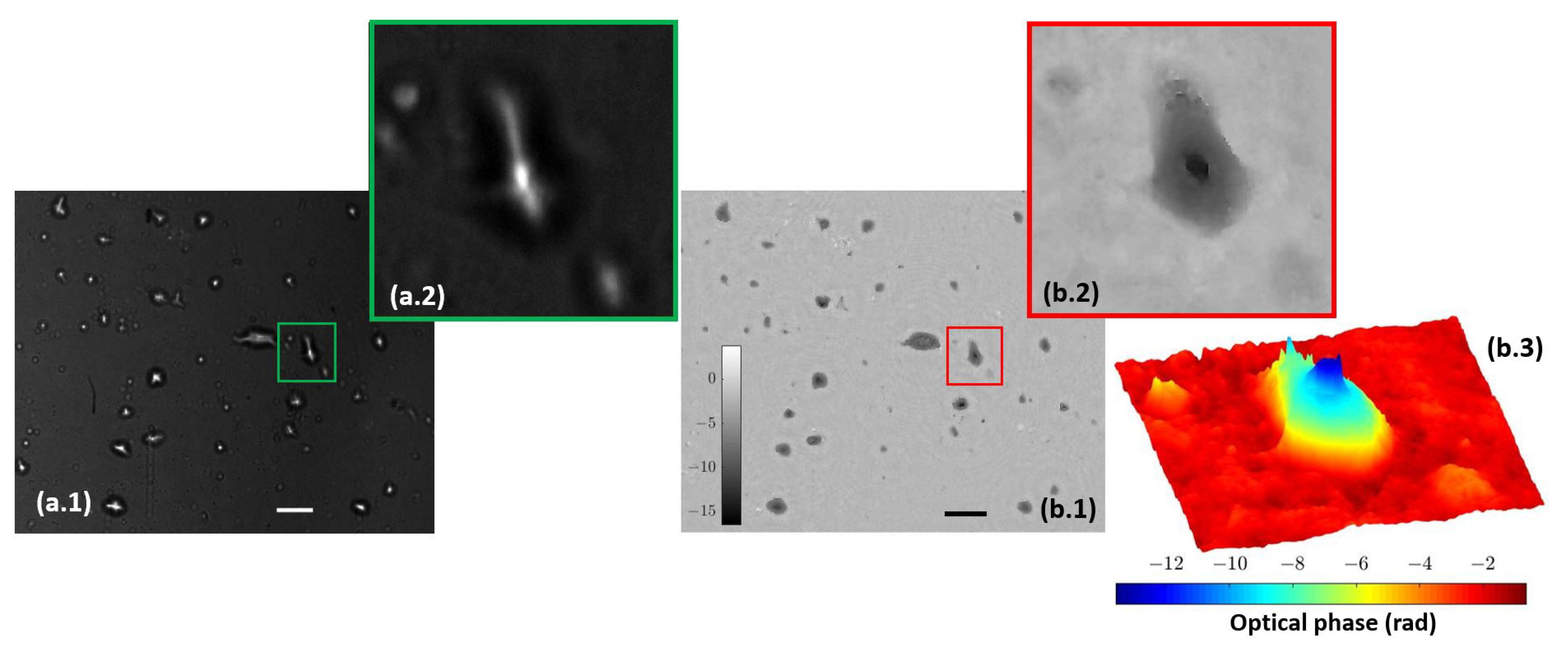Biosensors 13 00253 g008