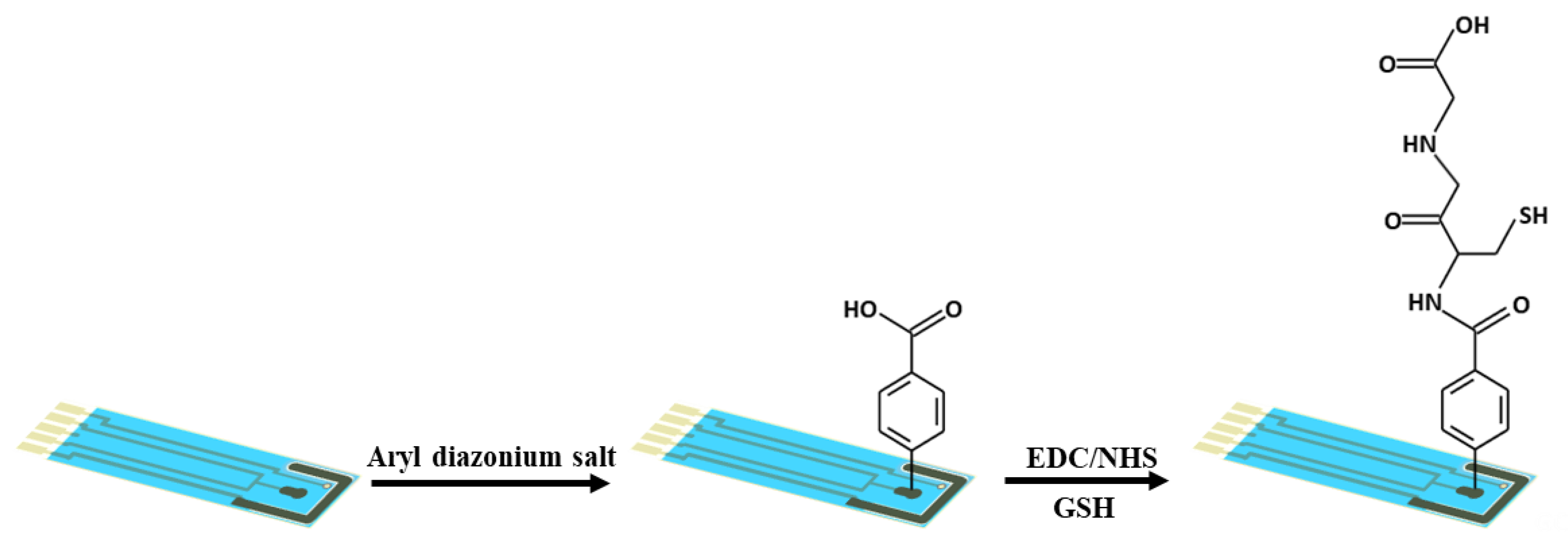 Biosensors 13 00254 g001