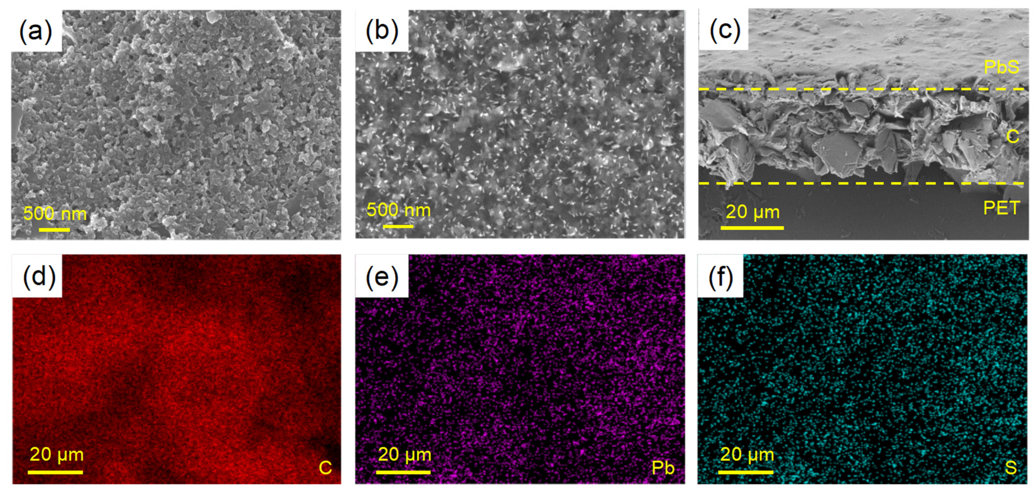 Biosensors 13 00255 g002