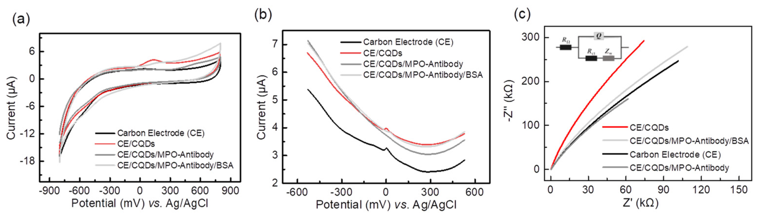 Biosensors 13 00255 g004