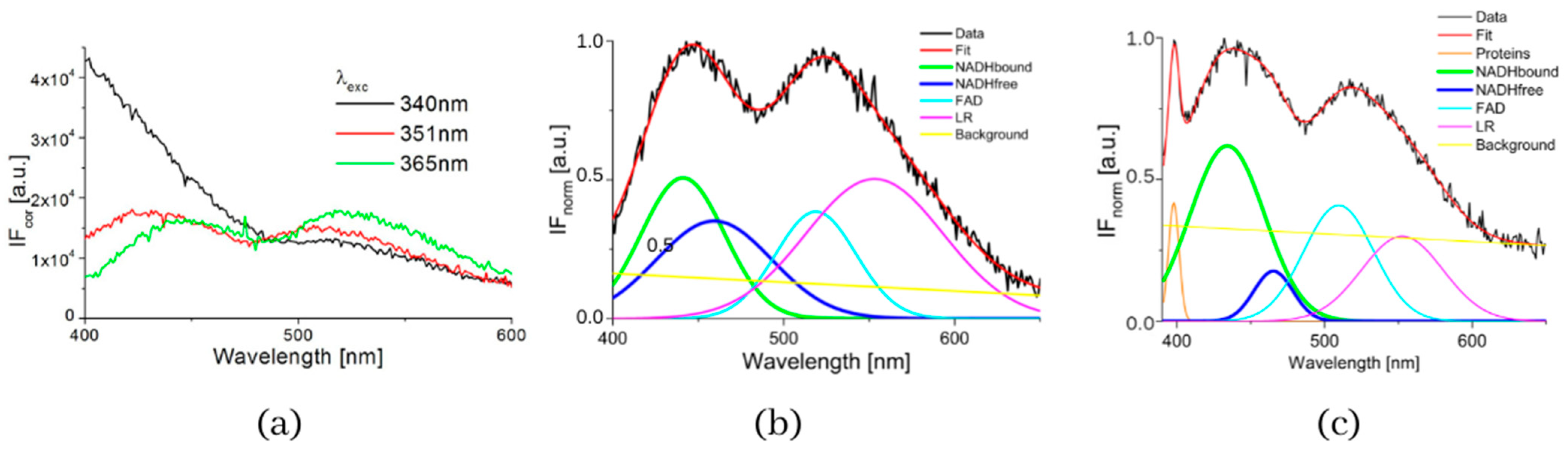 Biosensors 13 00256 g001