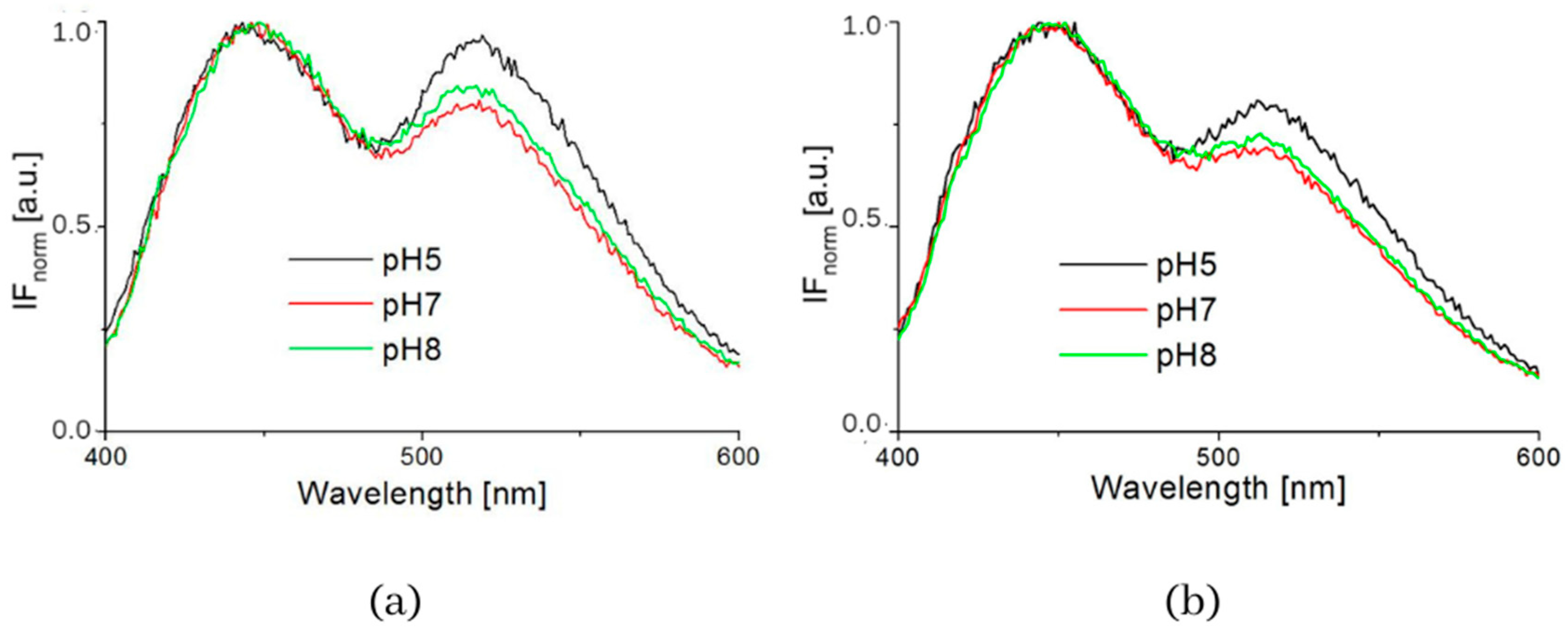 Biosensors 13 00256 g004