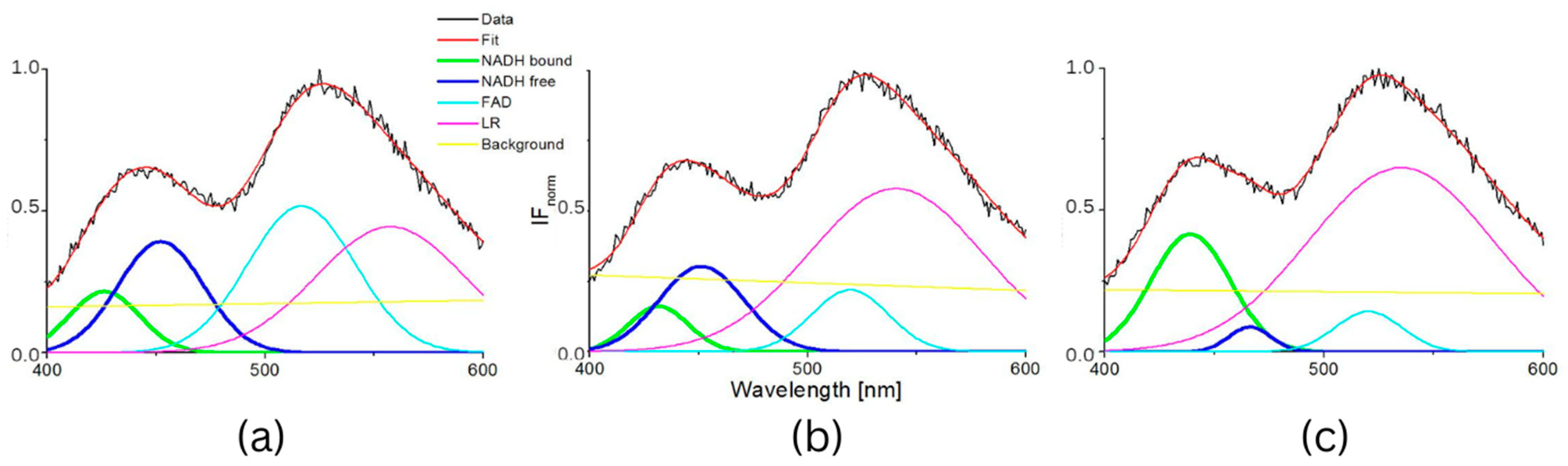 Biosensors 13 00256 g006