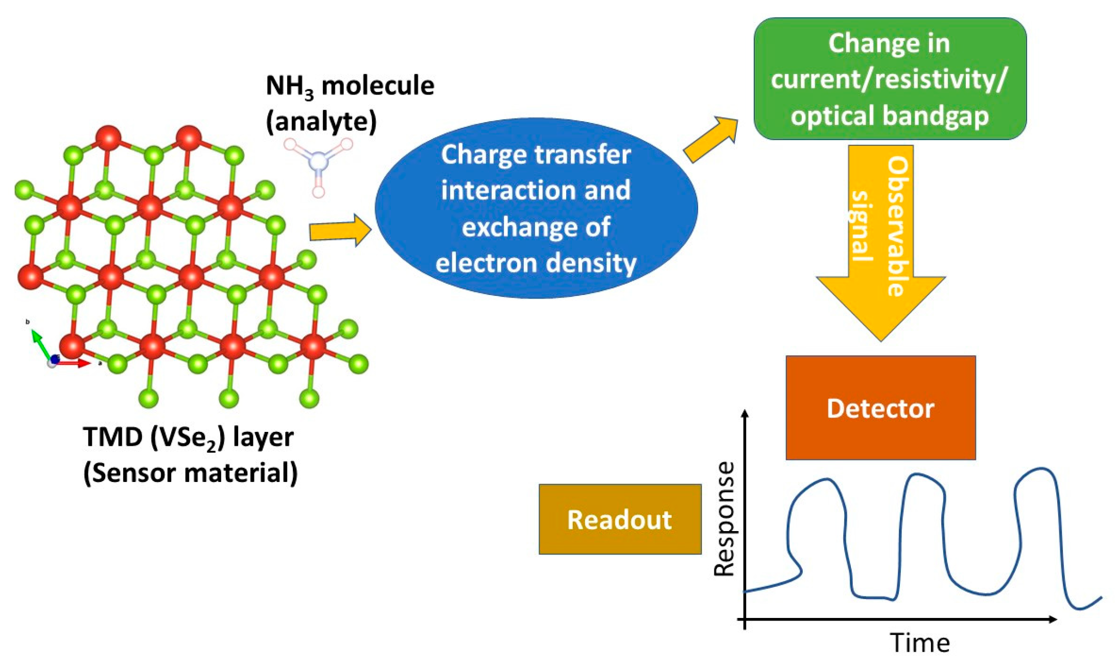 Biosensors 13 00257 g001