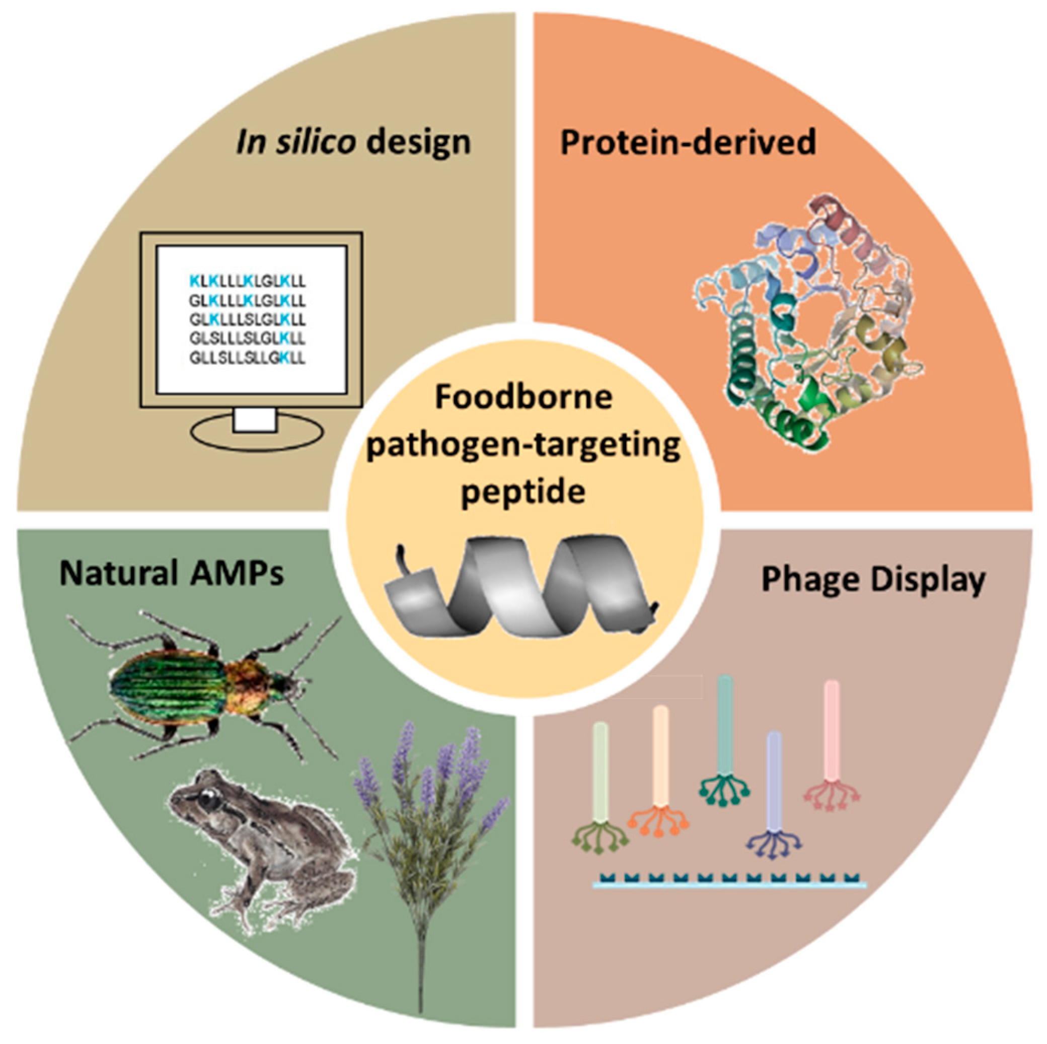 Biosensors 13 00258 g003