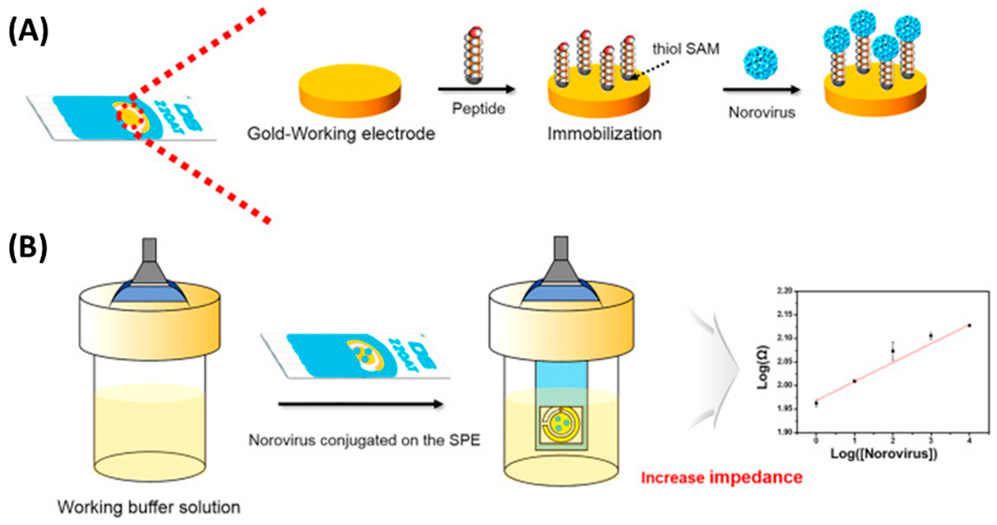 Biosensors 13 00258 g007