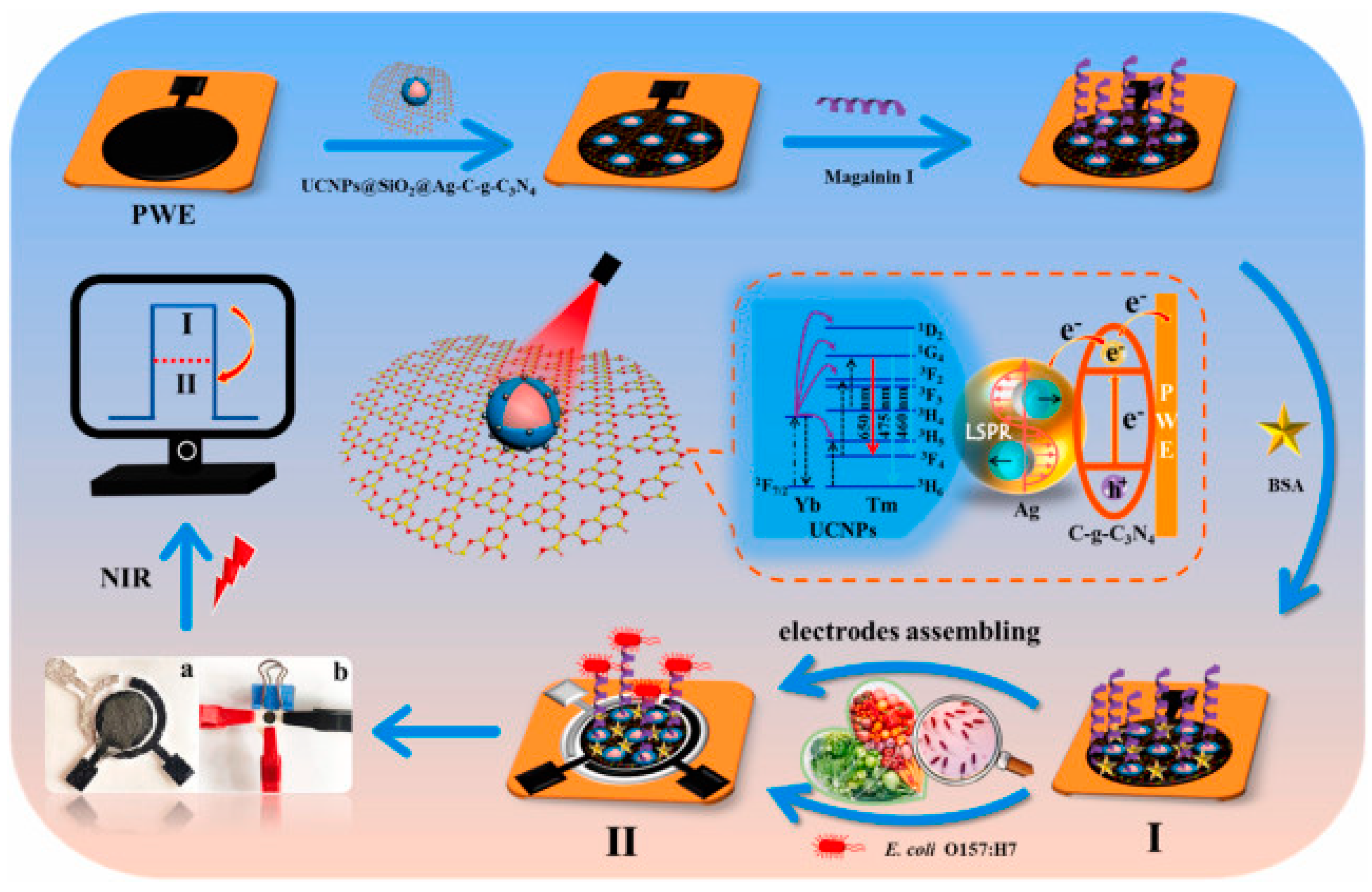 Biosensors 13 00258 g008