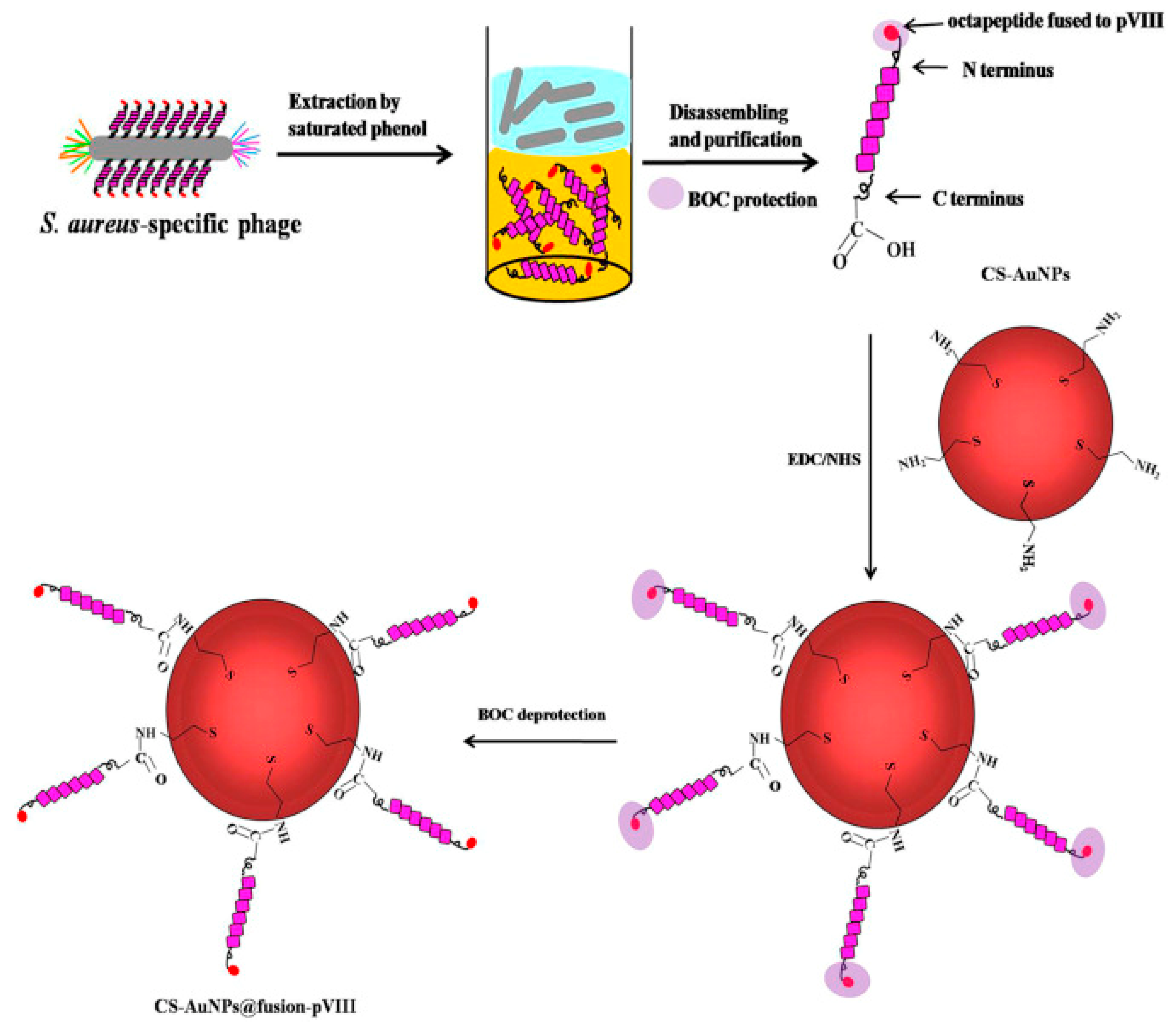 Biosensors 13 00258 g010