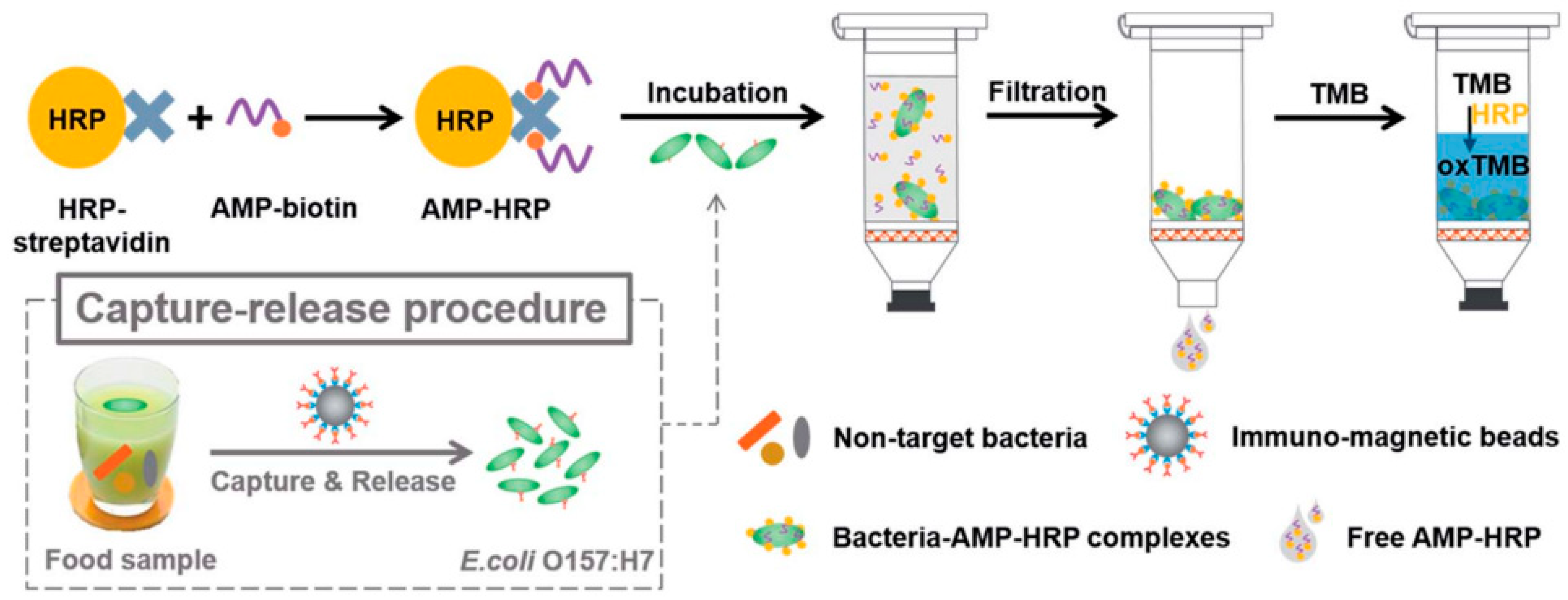 Biosensors 13 00258 g011