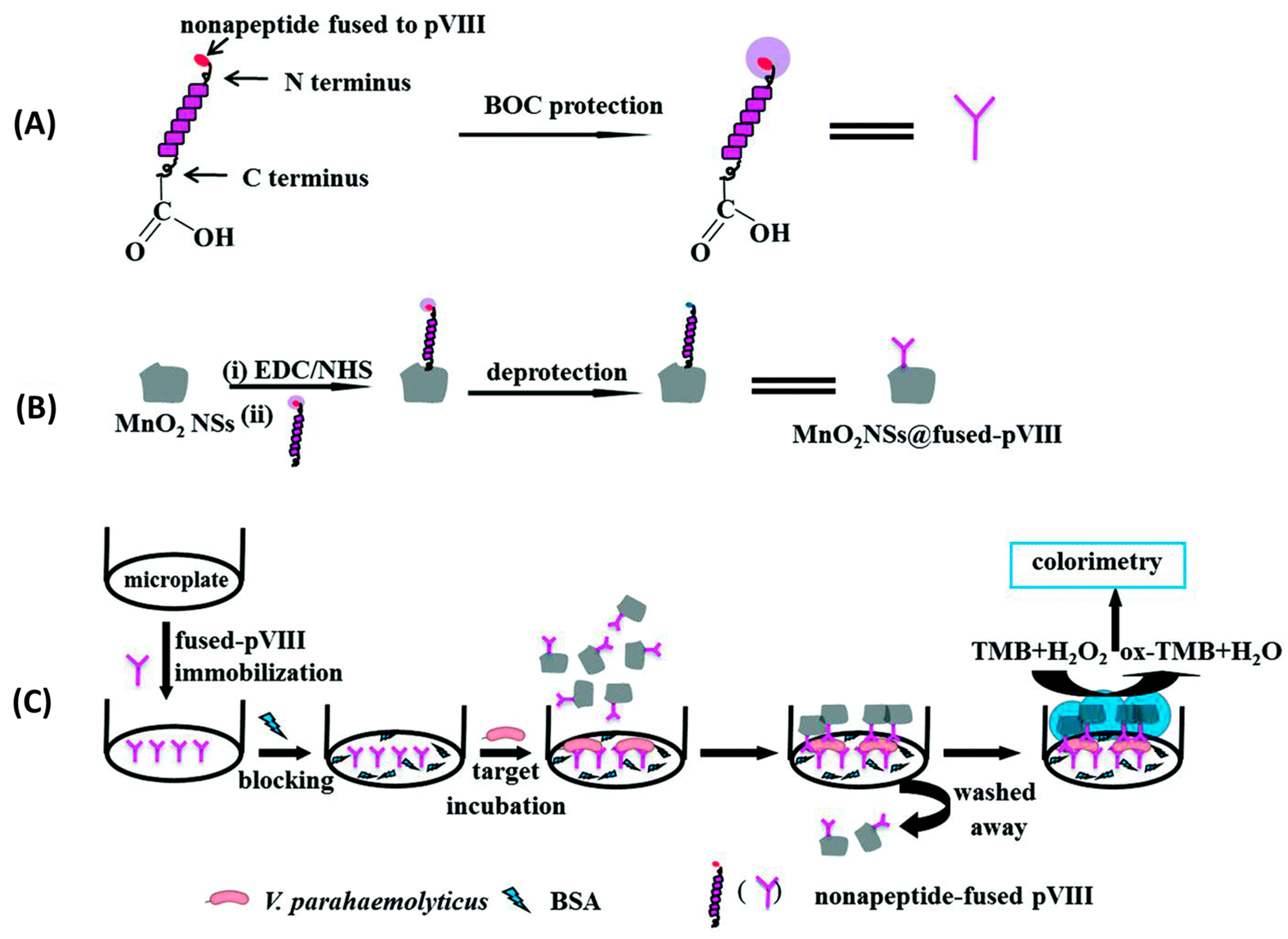 Biosensors 13 00258 g012