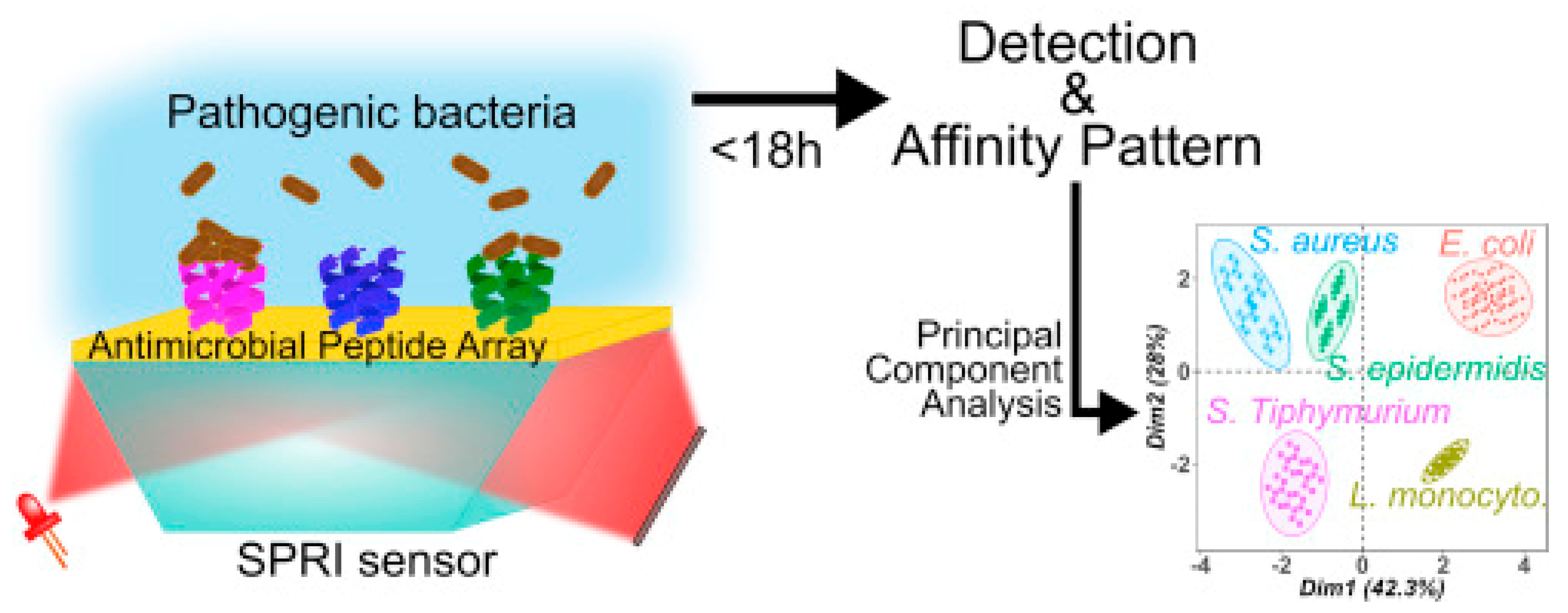 Biosensors 13 00258 g013