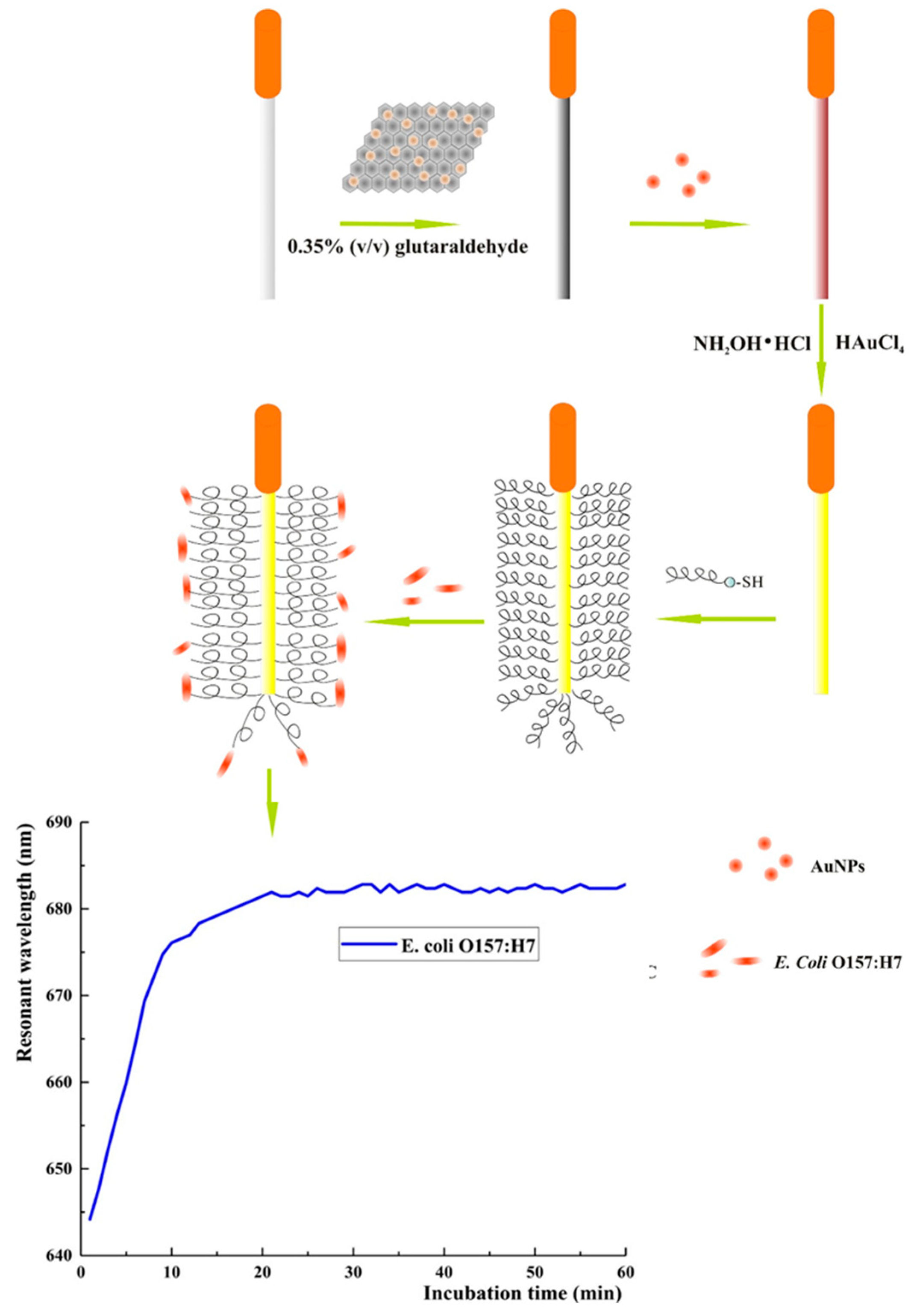 Biosensors 13 00258 g014