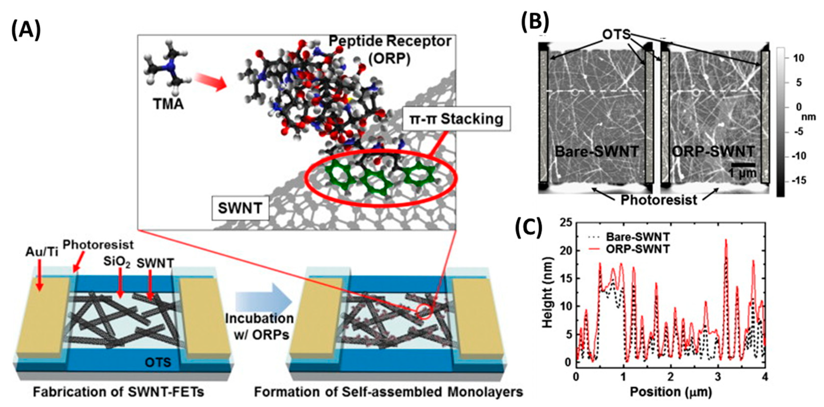 Biosensors 13 00258 g017