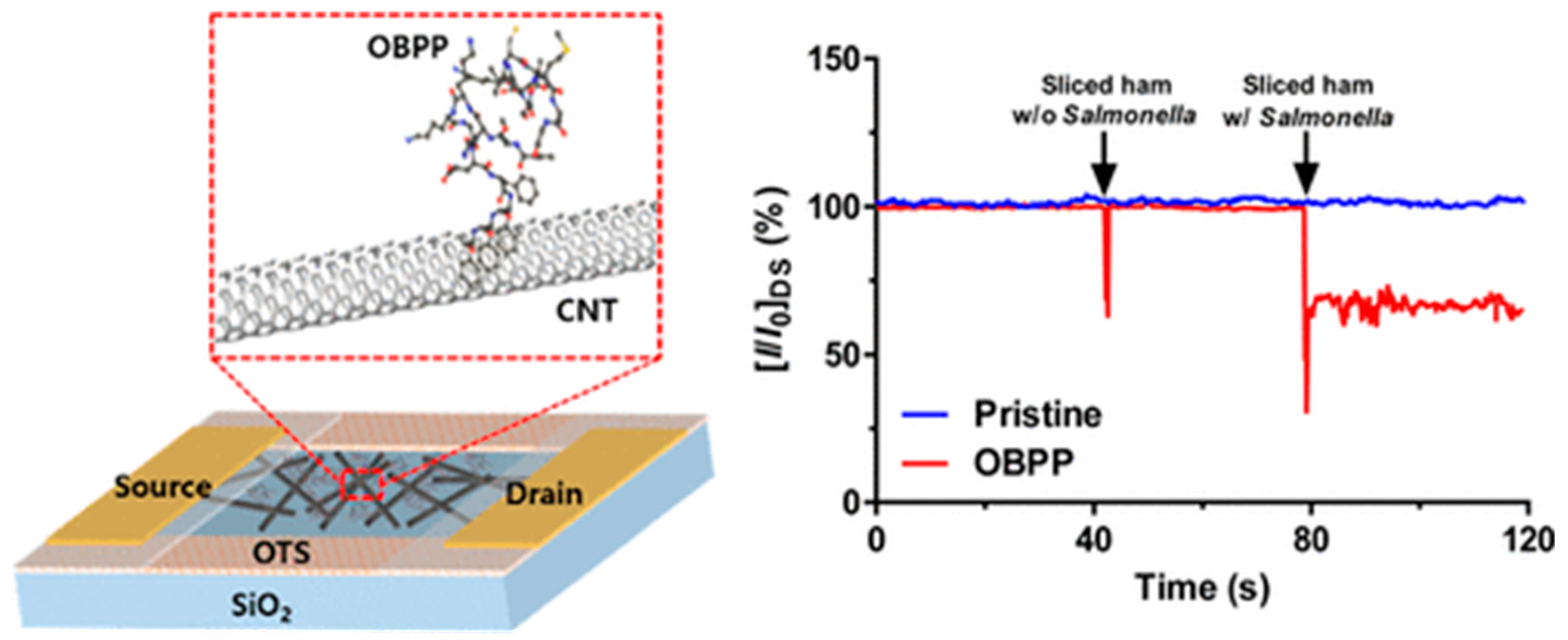 Biosensors 13 00258 g018