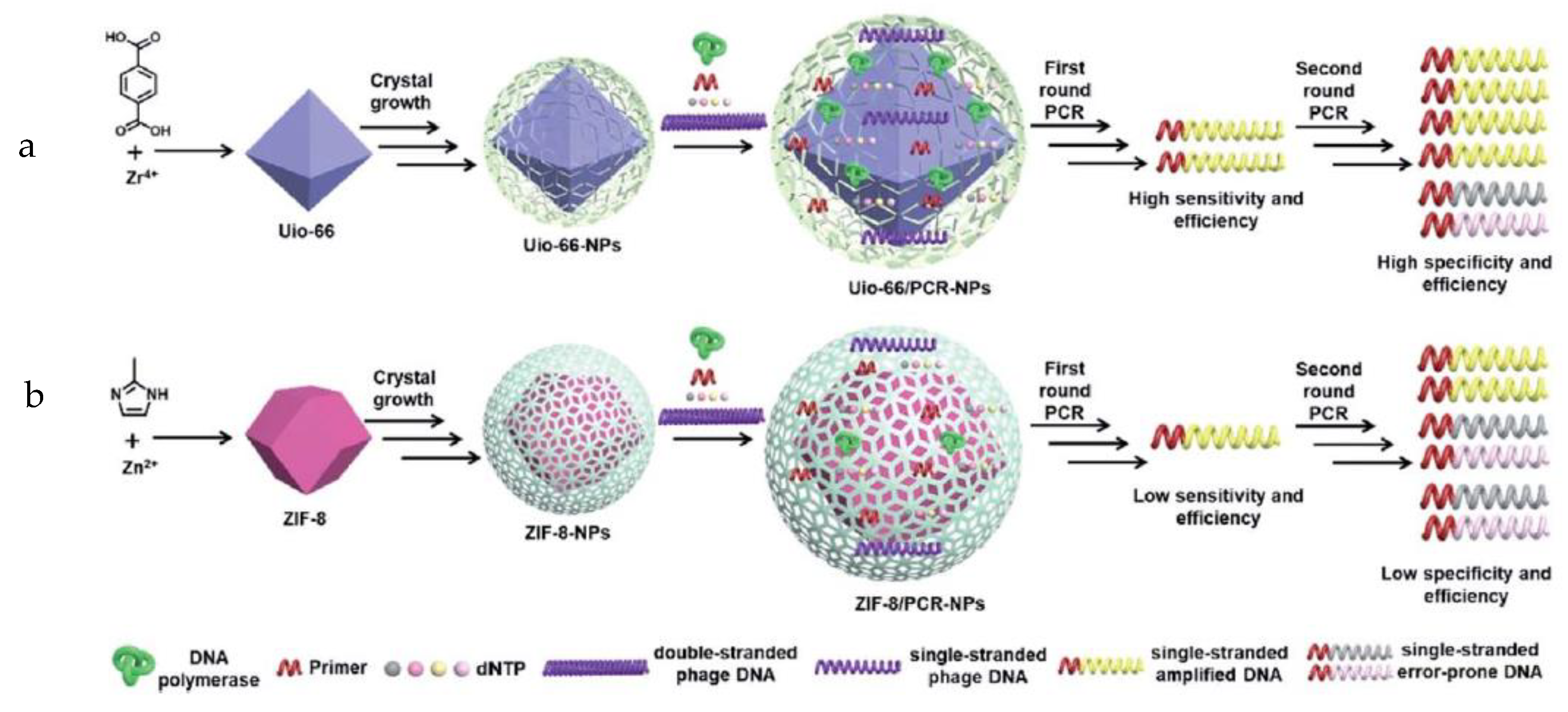 Biosensors 13 00260 g003 Biosensors 13 00260 g003