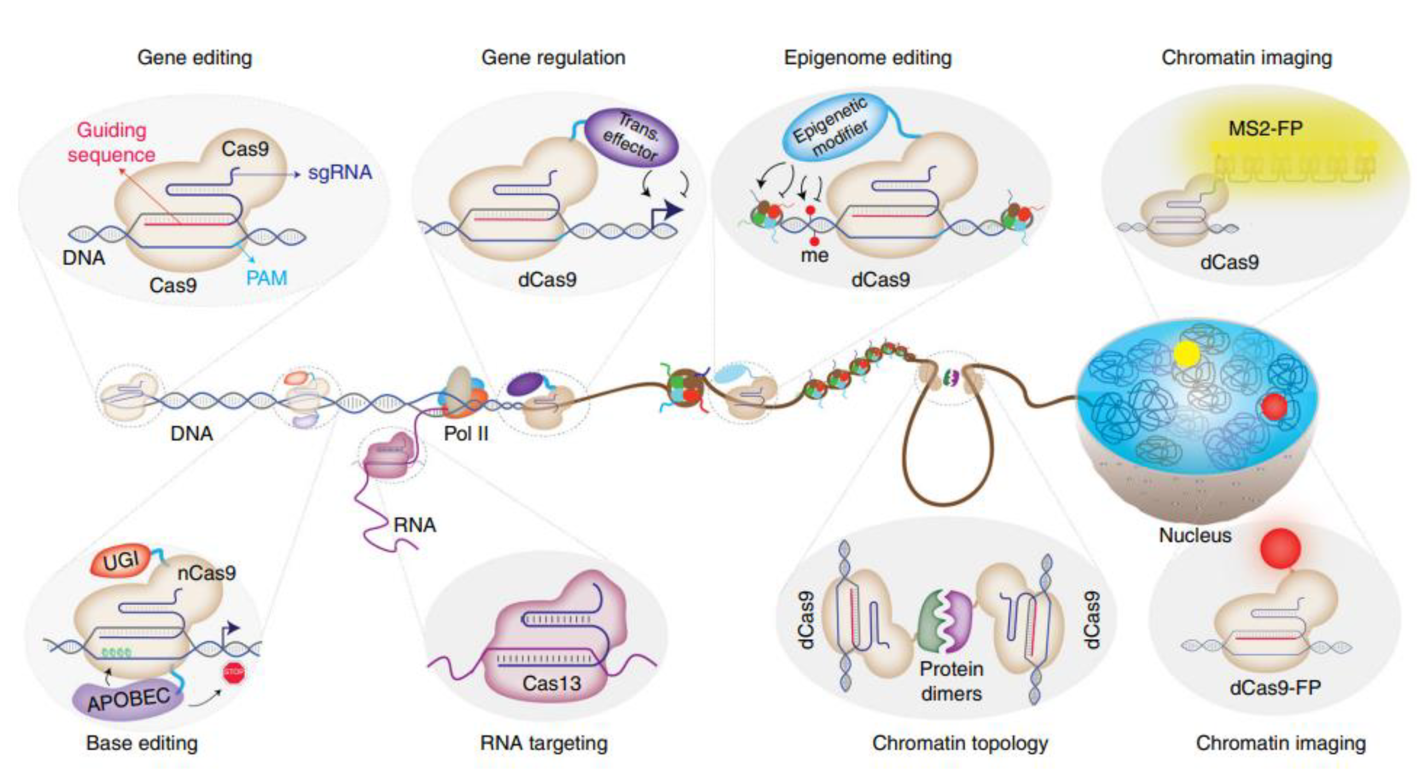 Biosensors 13 00260 g005 Biosensors 13 00260 g005