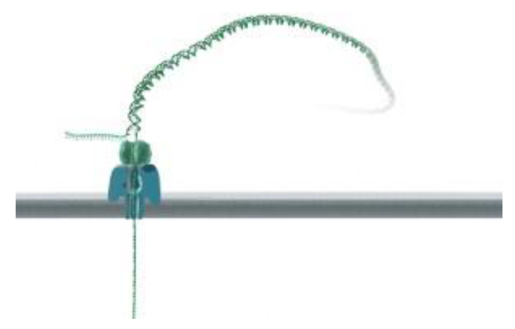 Biosensors 13 00260 g006 Biosensors 13 00260 g006