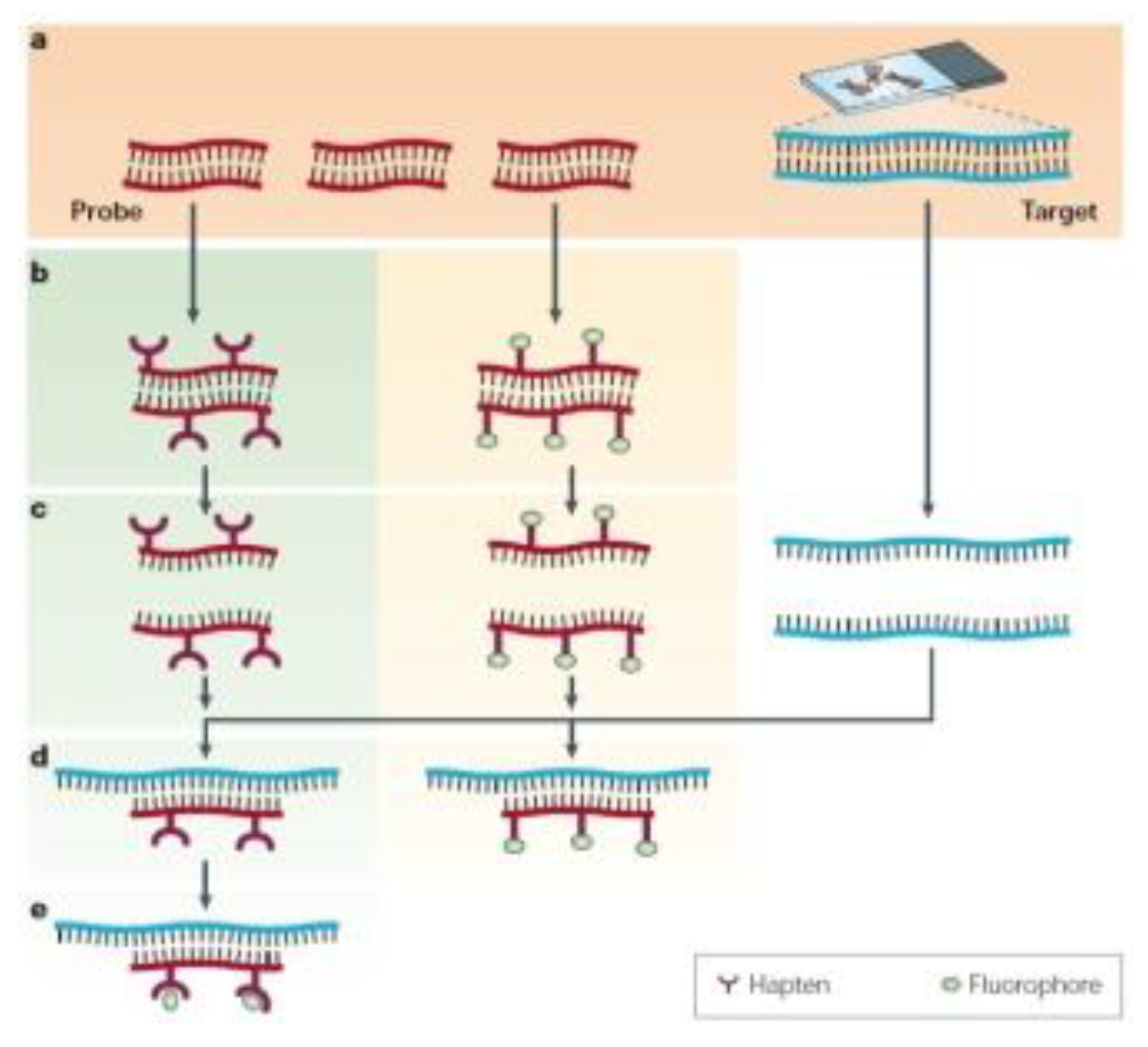 Biosensors 13 00260 g007 Biosensors 13 00260 g007