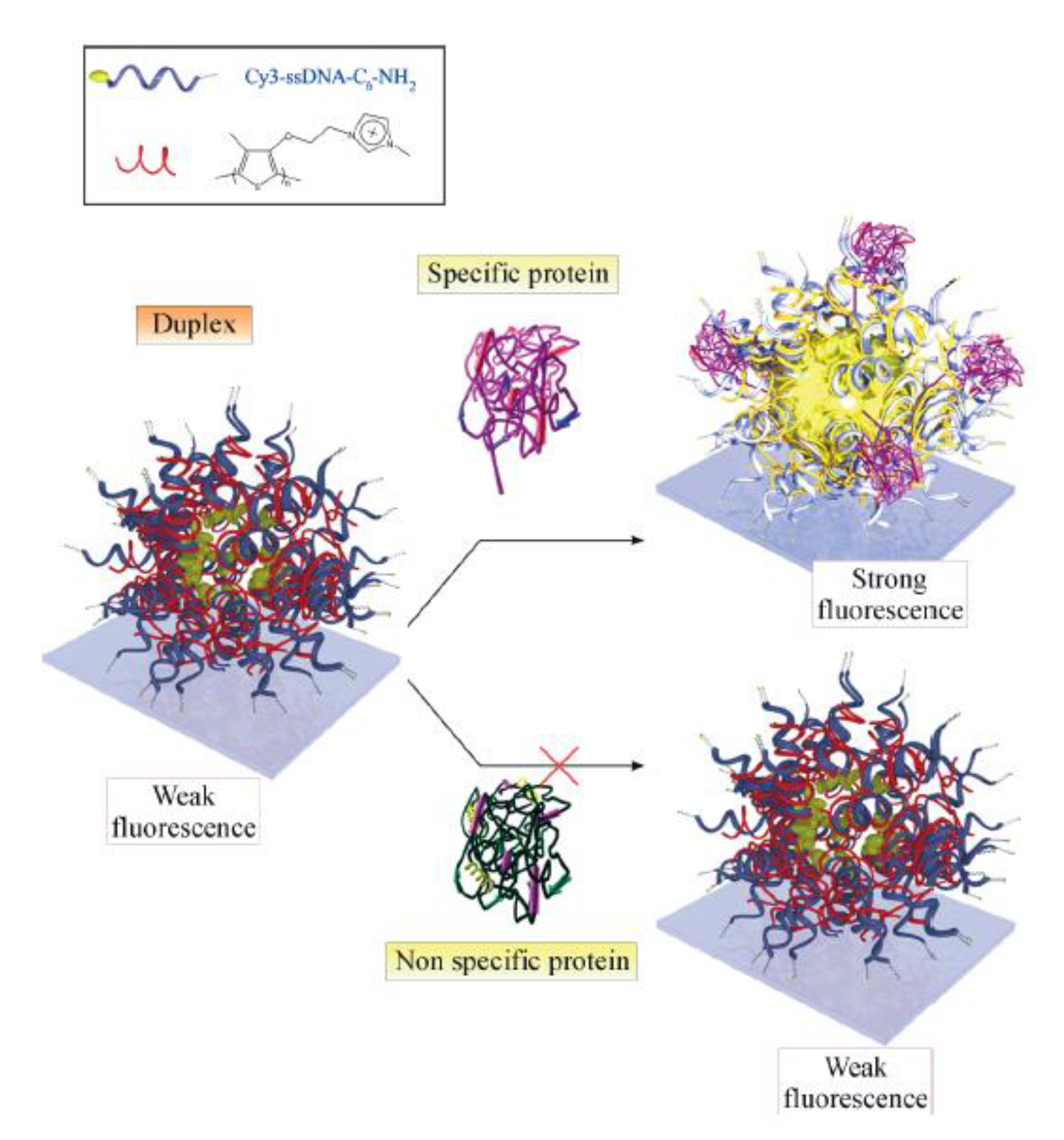 Biosensors 13 00260 g009 Biosensors 13 00260 g009